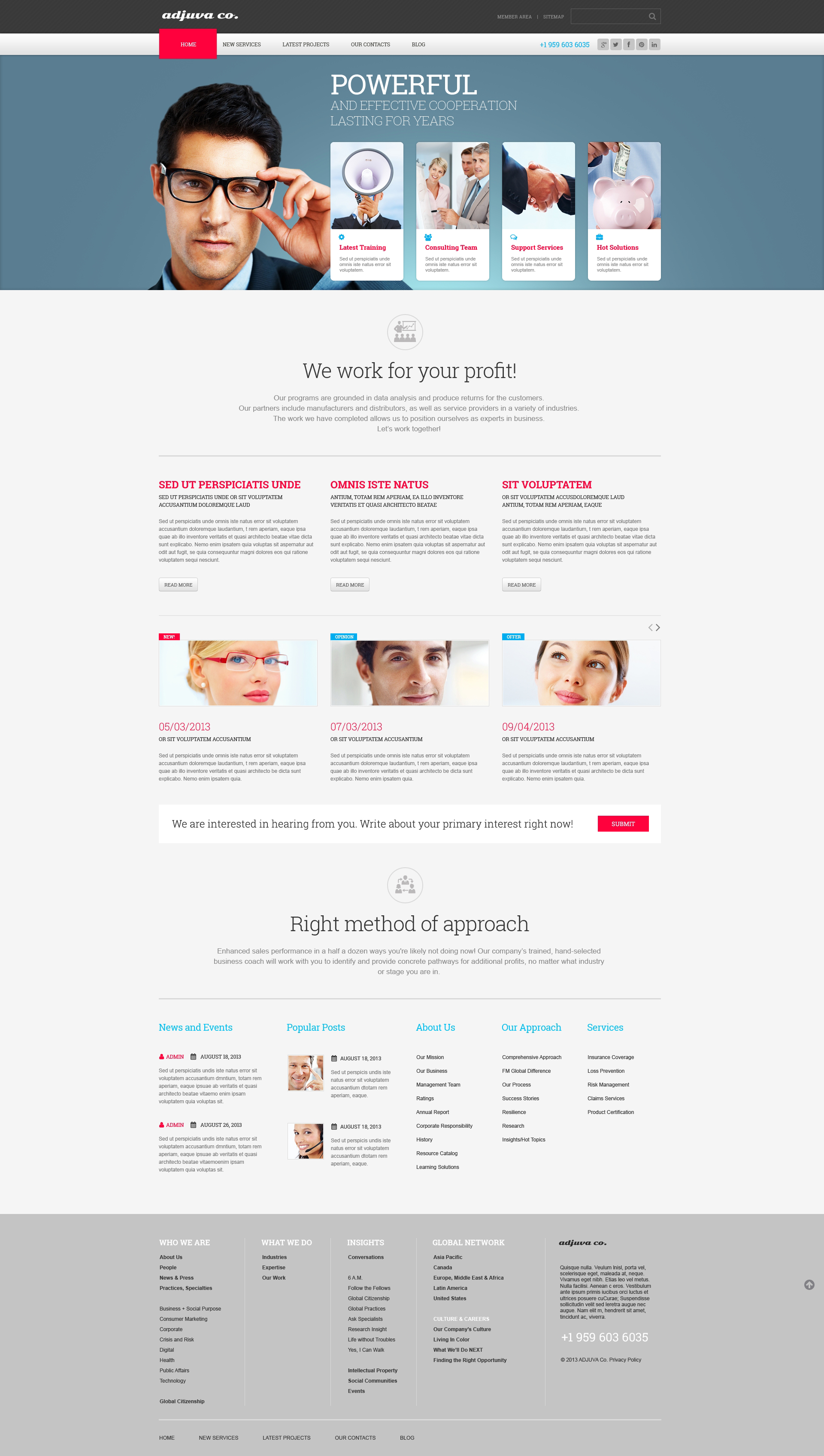 WordPress Themes