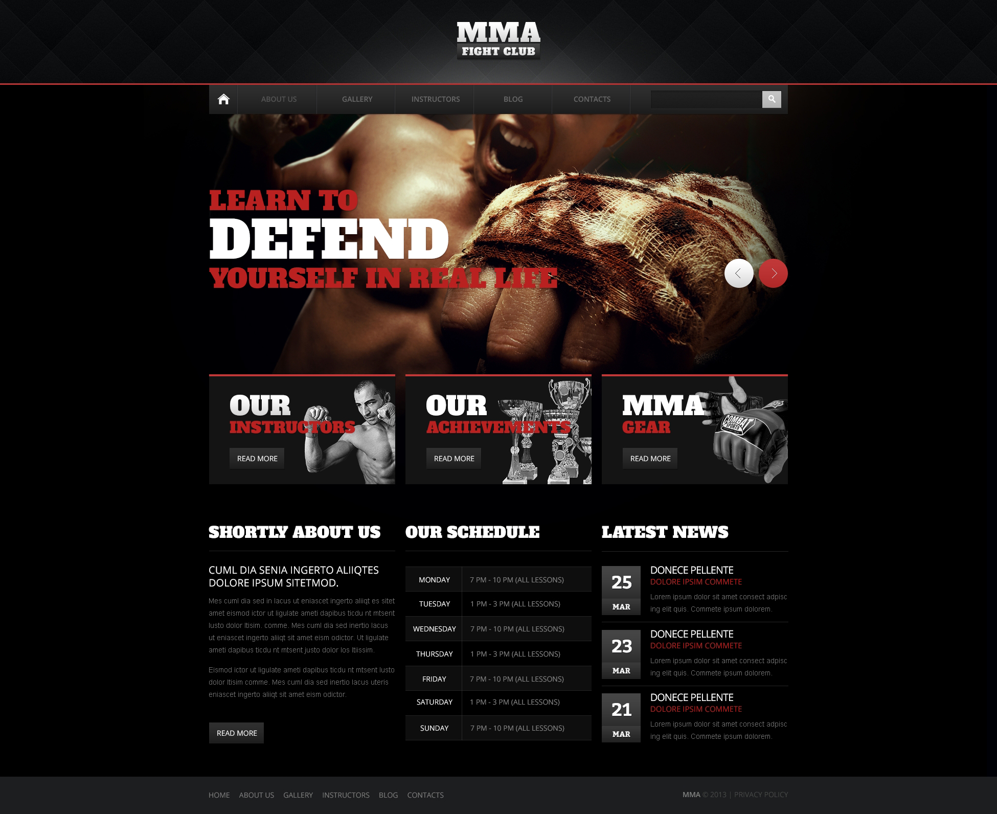 Shocking Martial Arts Drupal Template