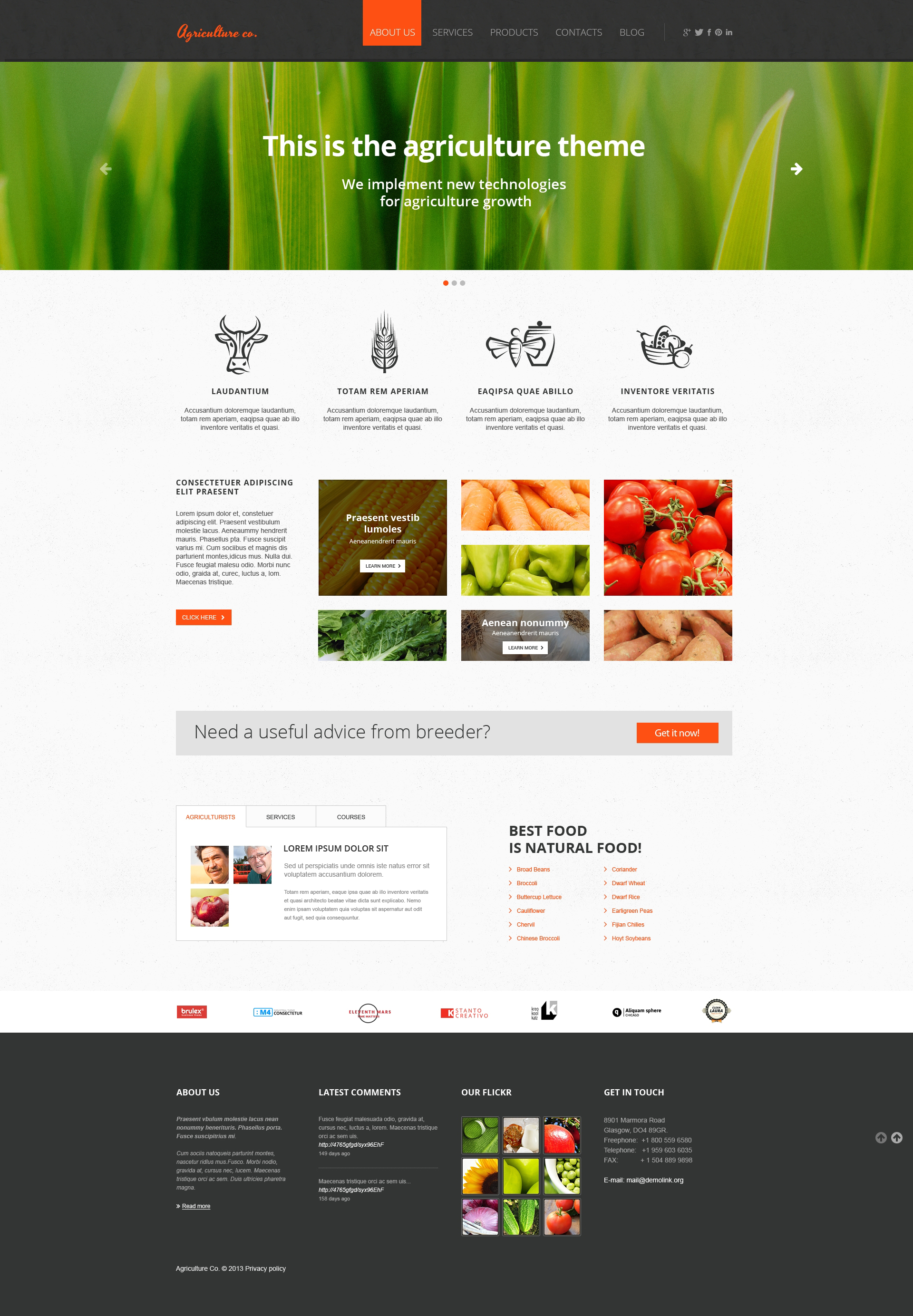 Website Templates