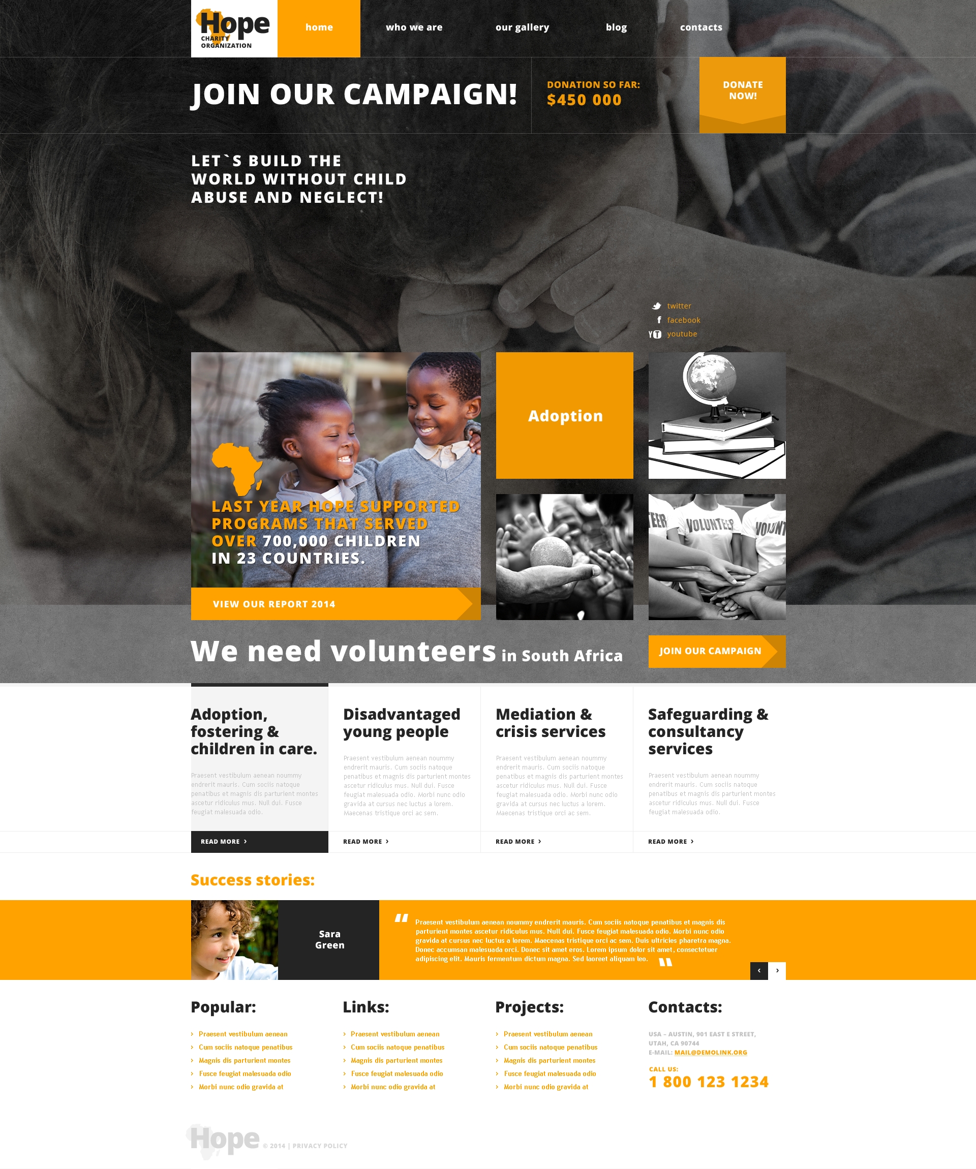 WordPress Themes