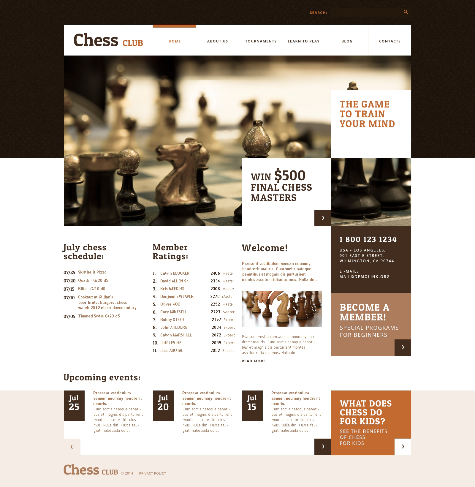 WordPress Themes