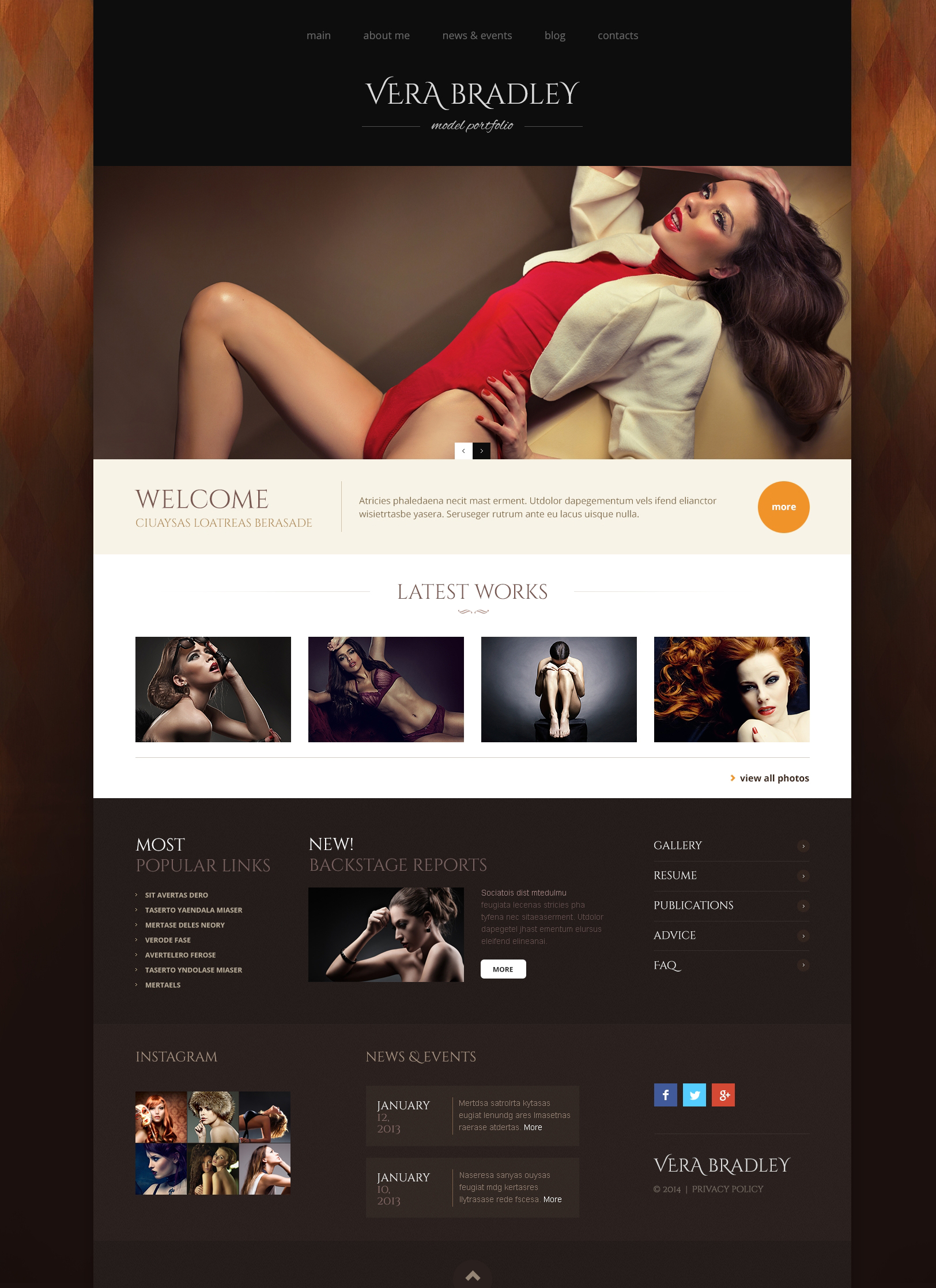 WordPress Themes