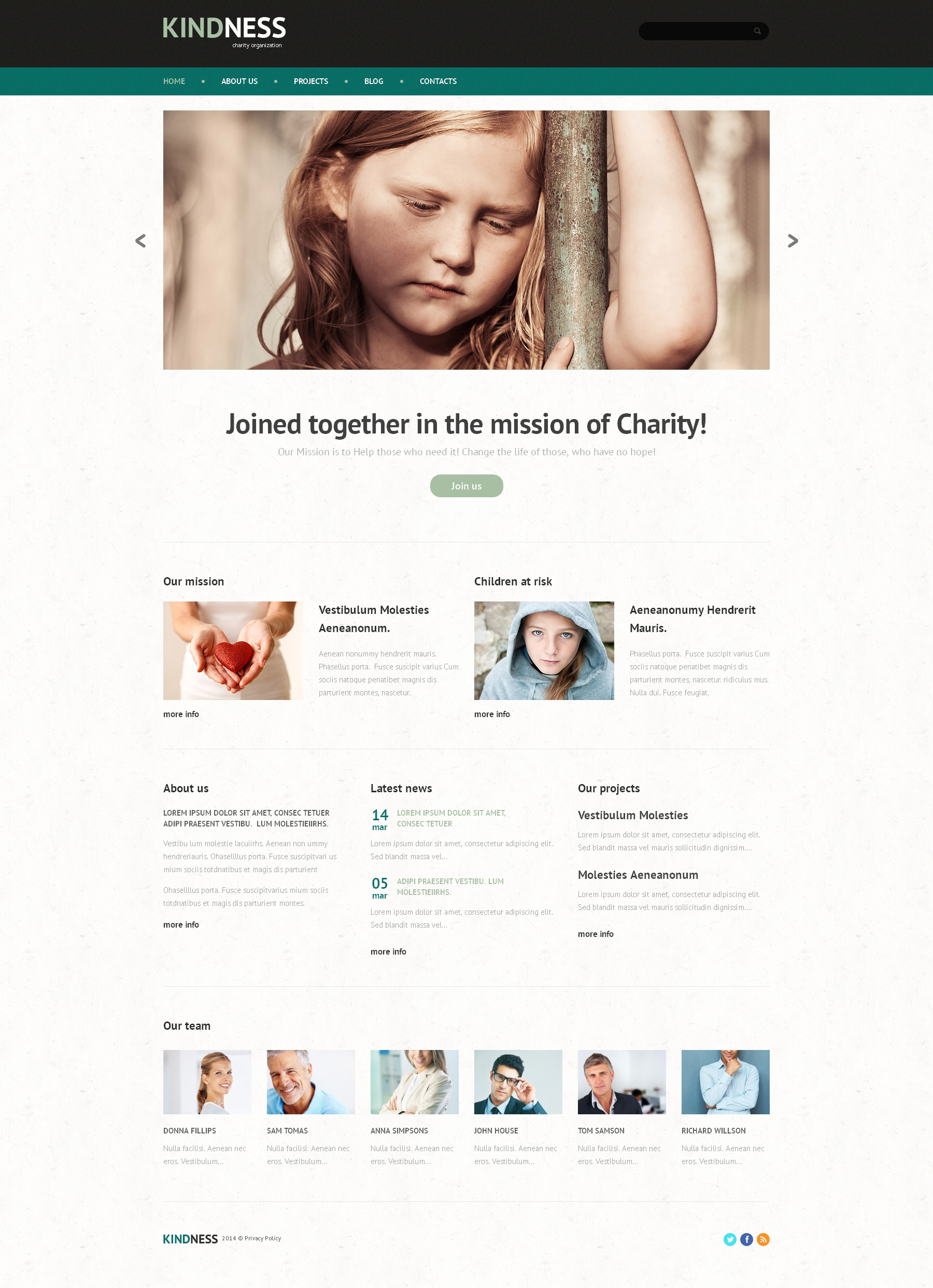 WordPress Themes