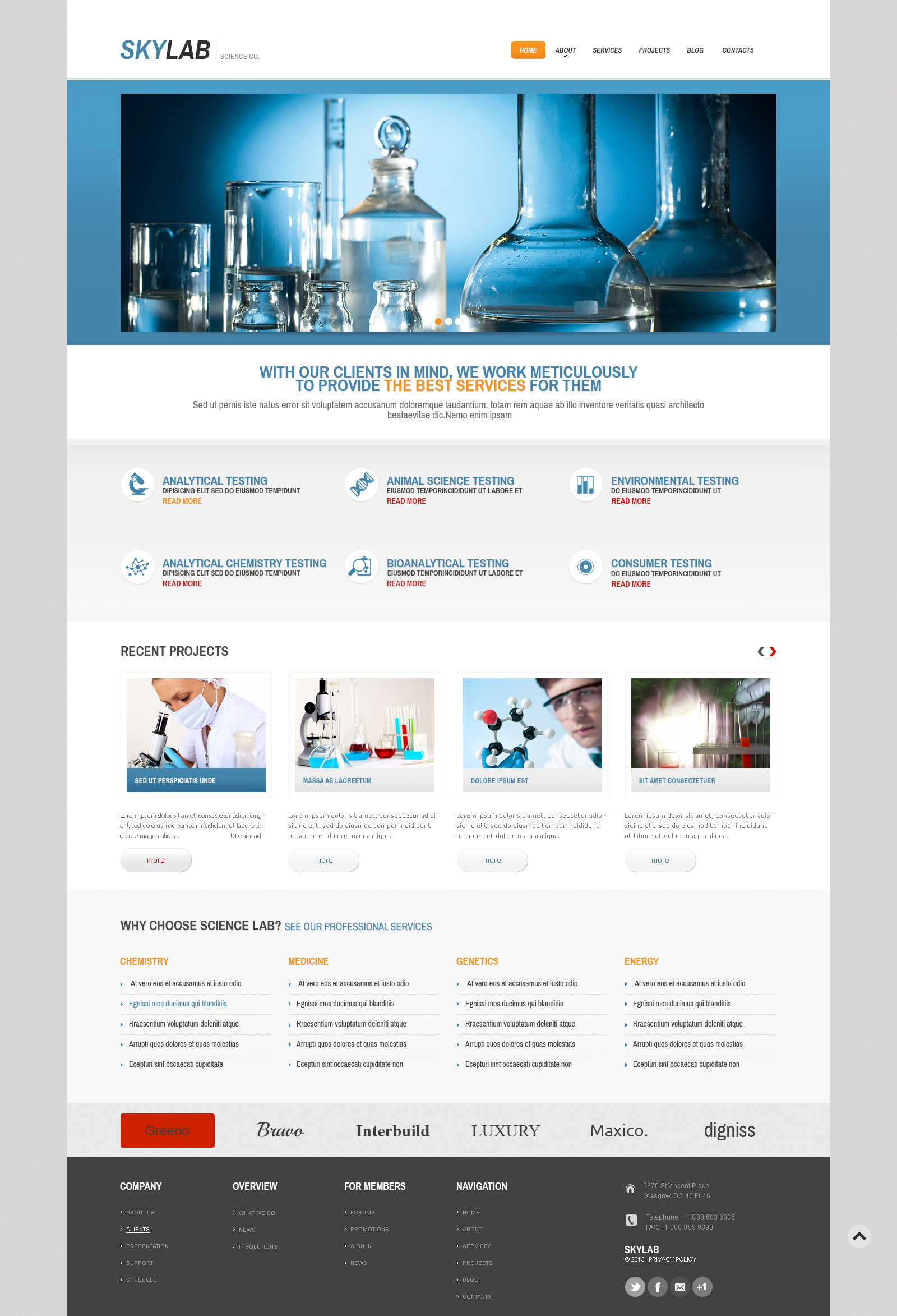 WordPress Themes