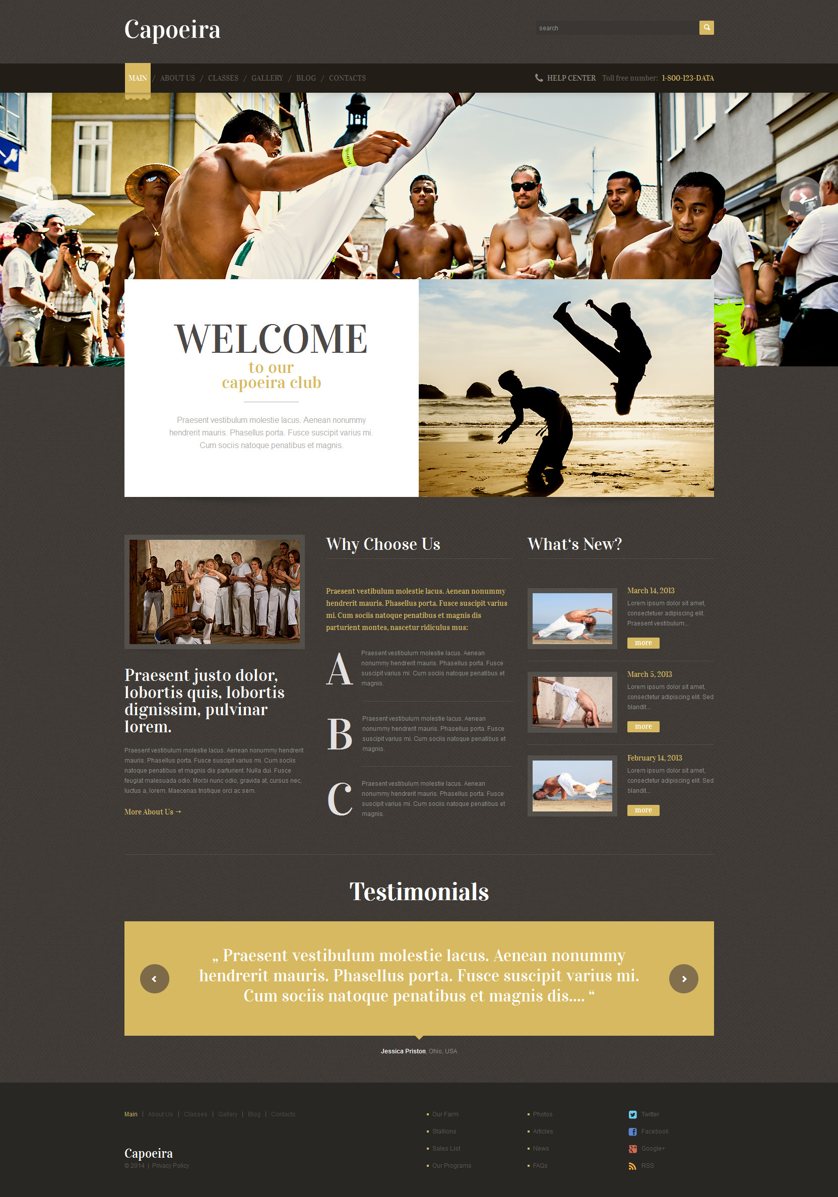 WordPress Themes