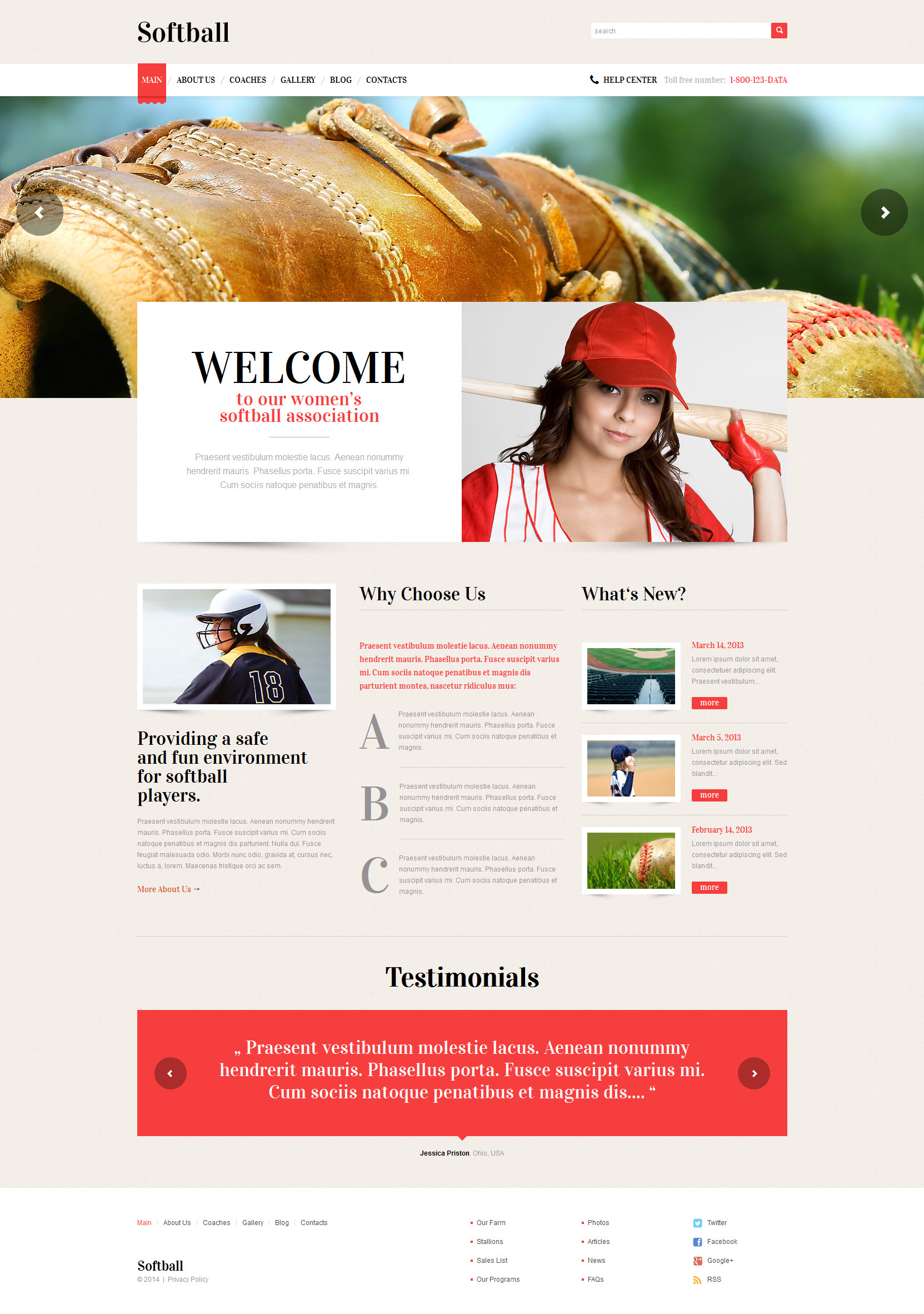 Thèmes WordPress