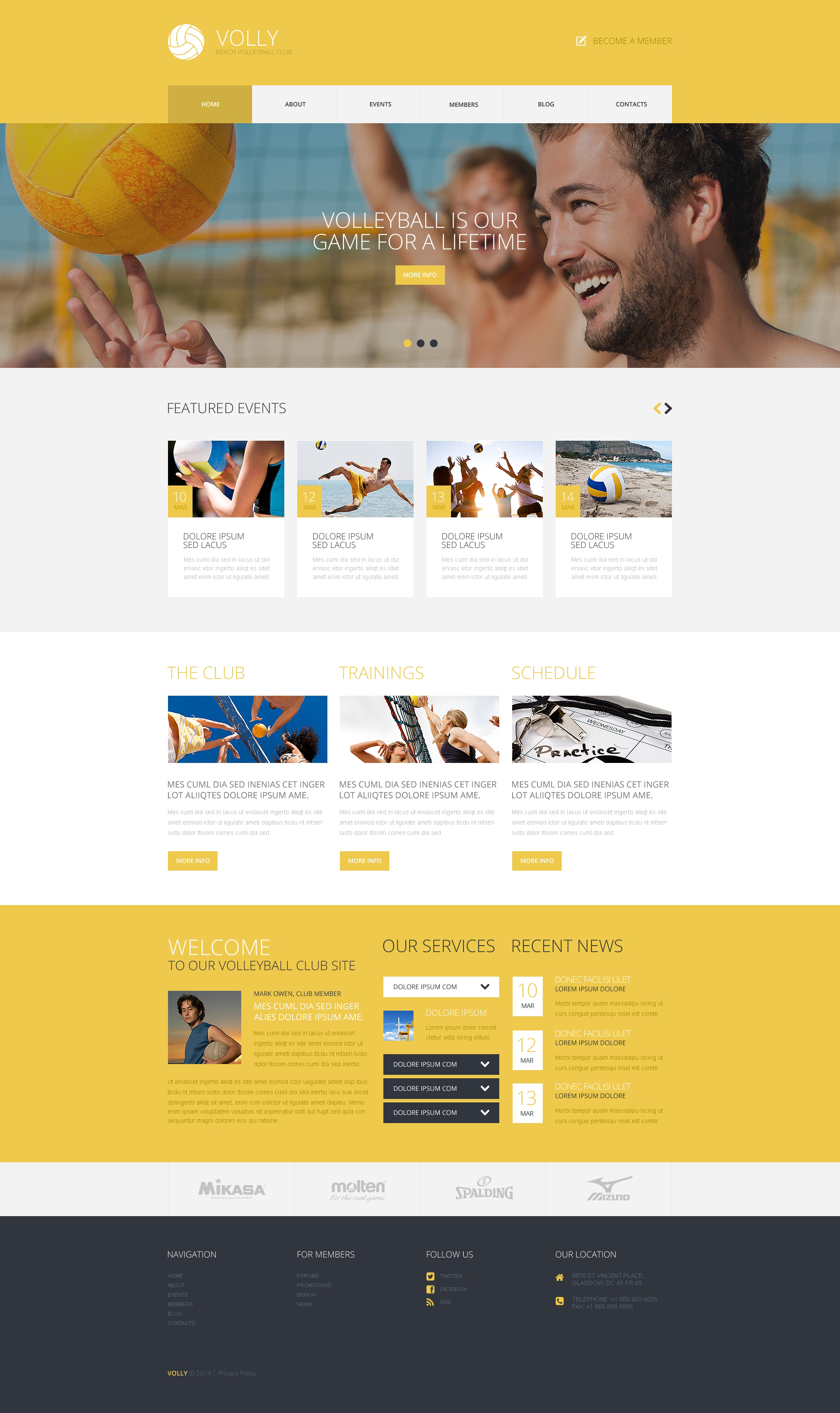 WordPress Themes