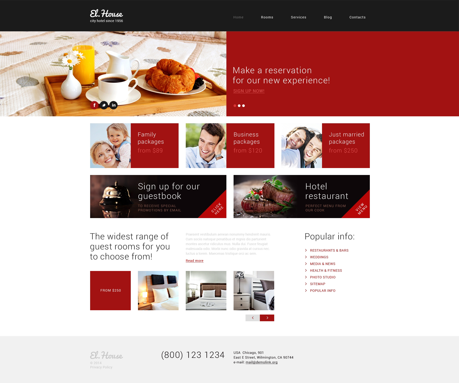 WordPress Themes