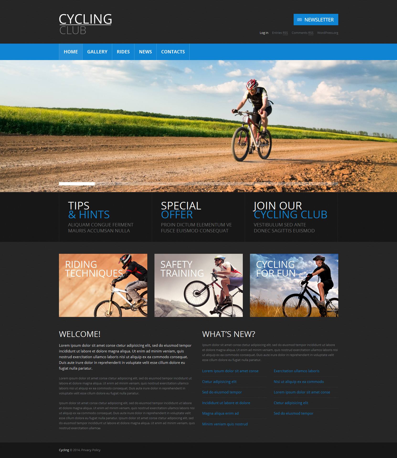 WordPress Themes