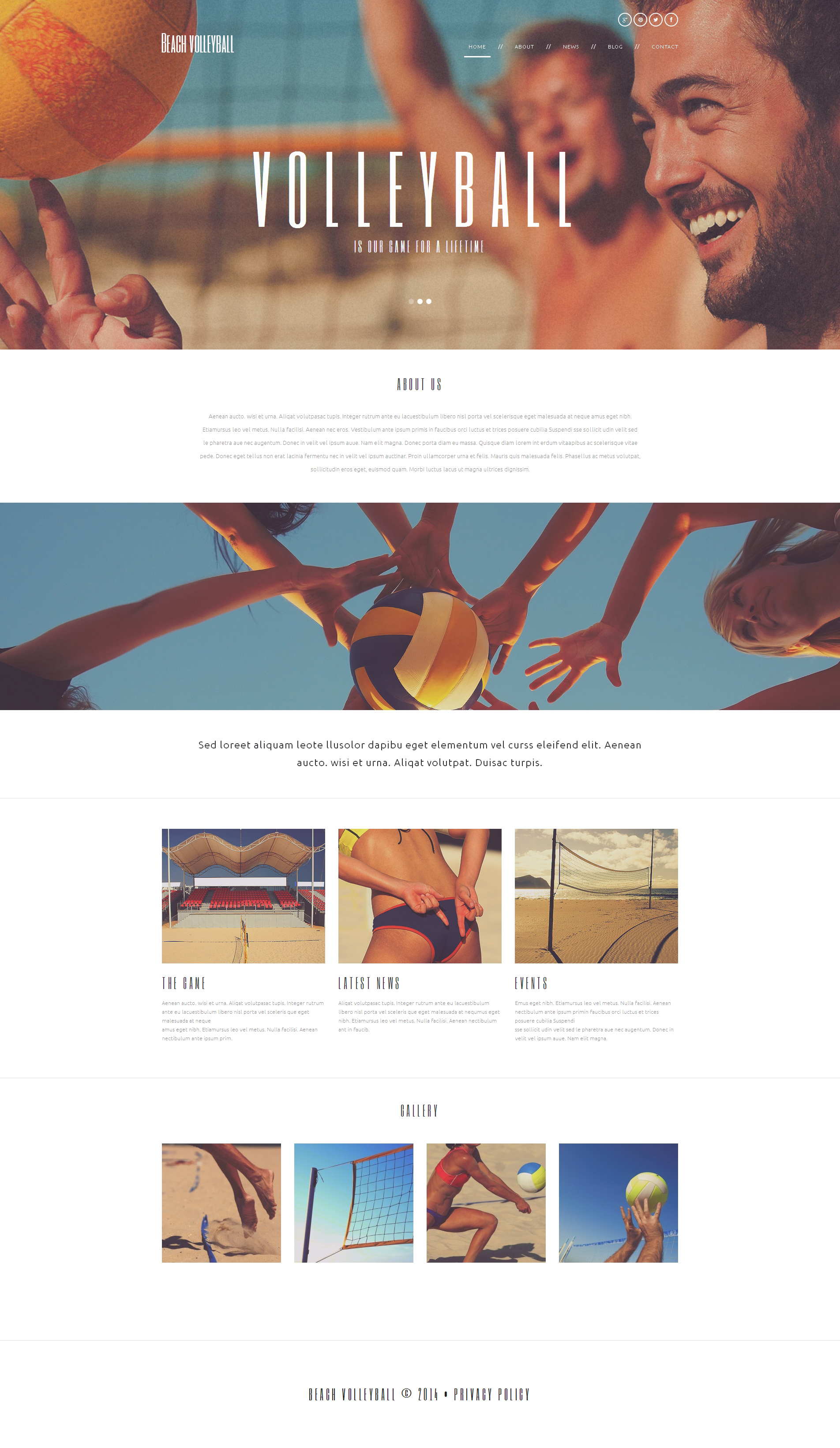 WordPress Themes