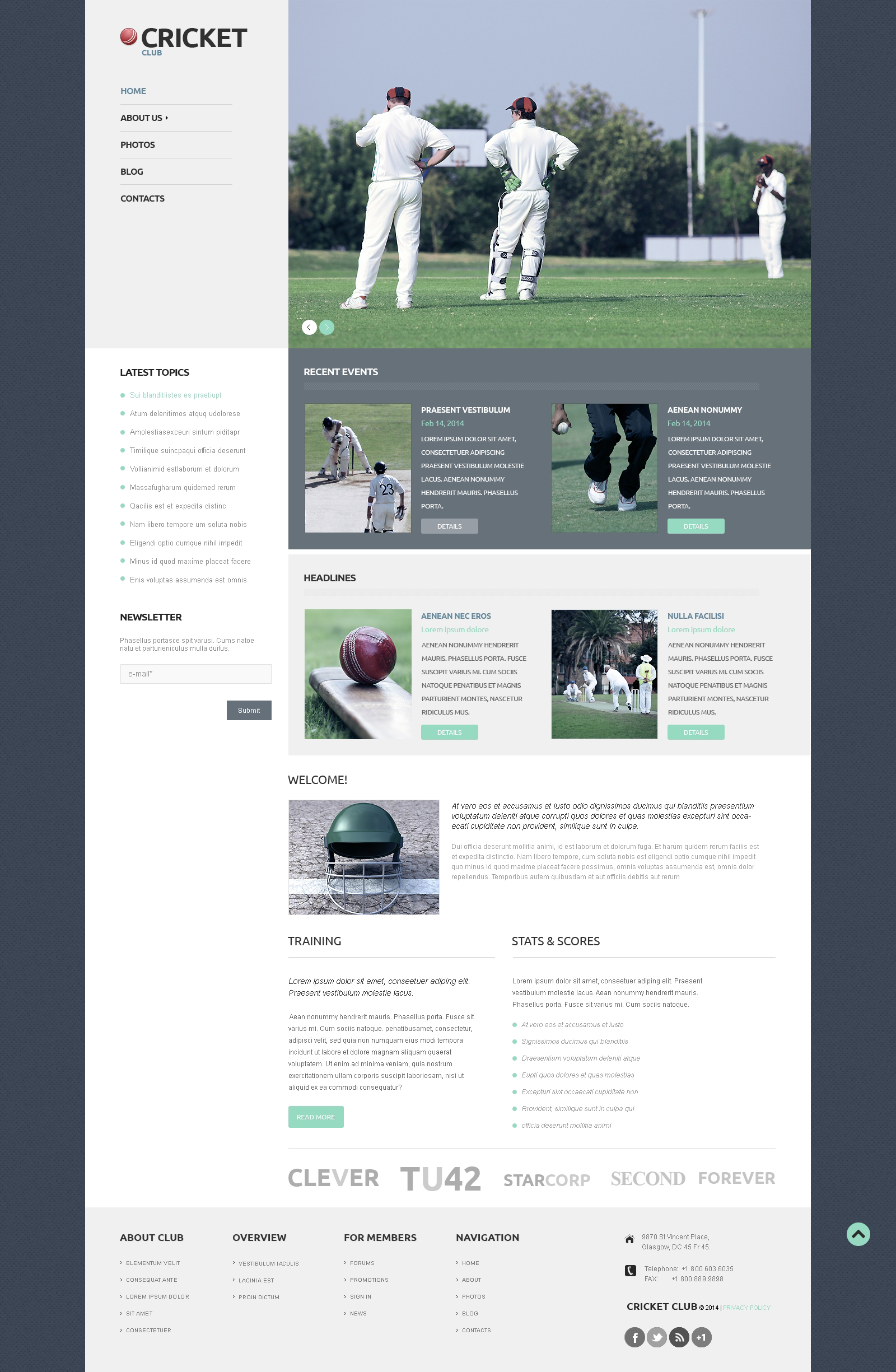 WordPress Themes