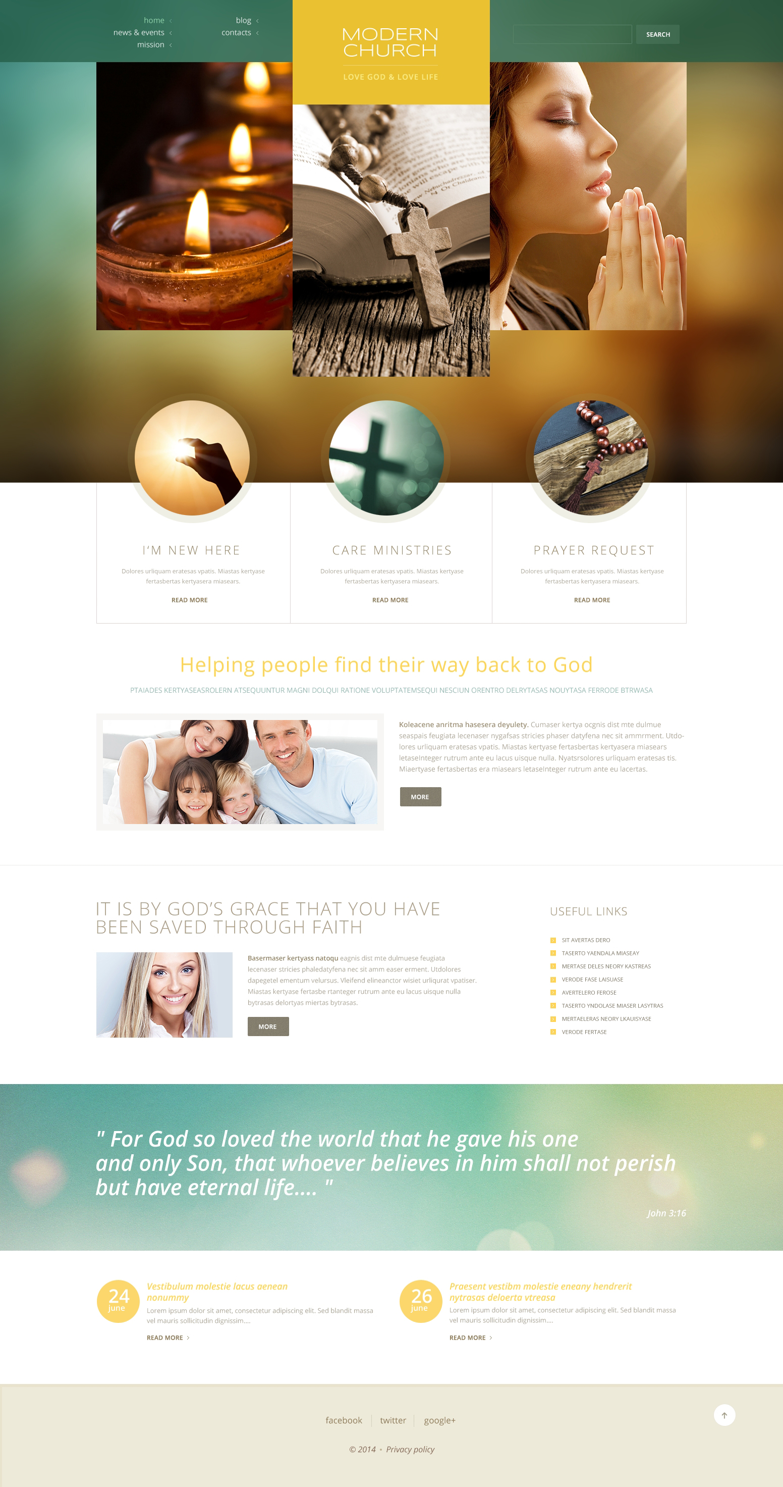 WordPress Themes