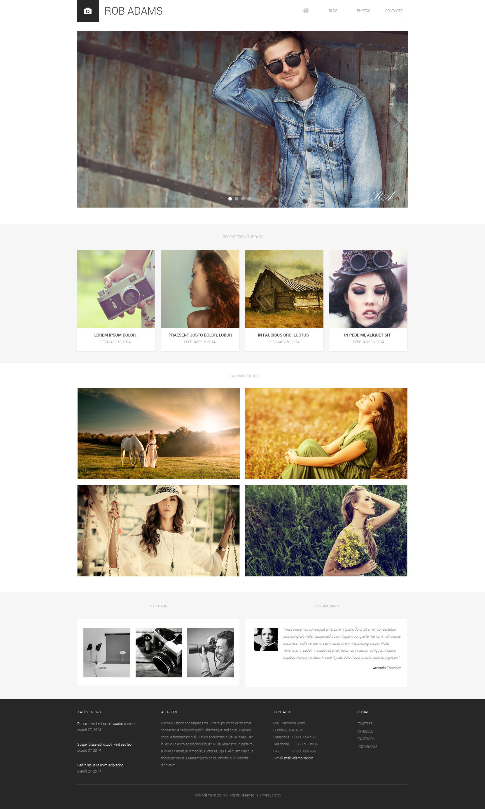 Photo Artist Drupal Template