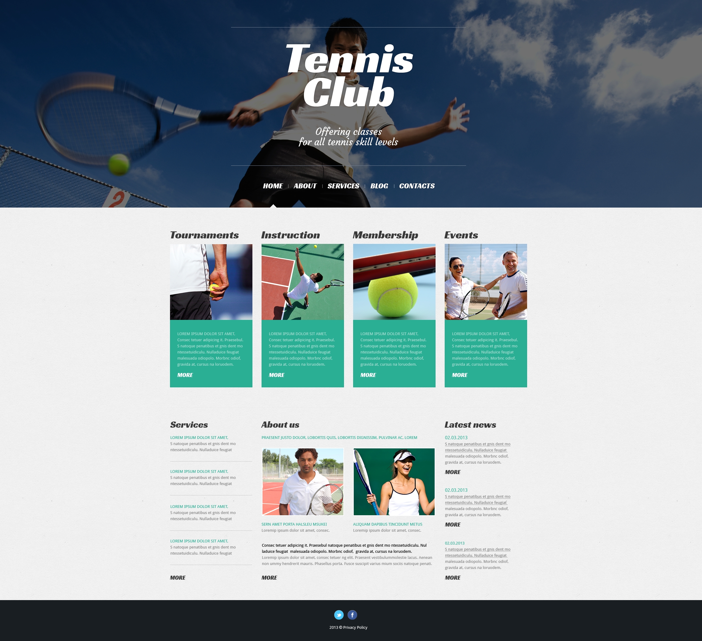 WordPress Themes