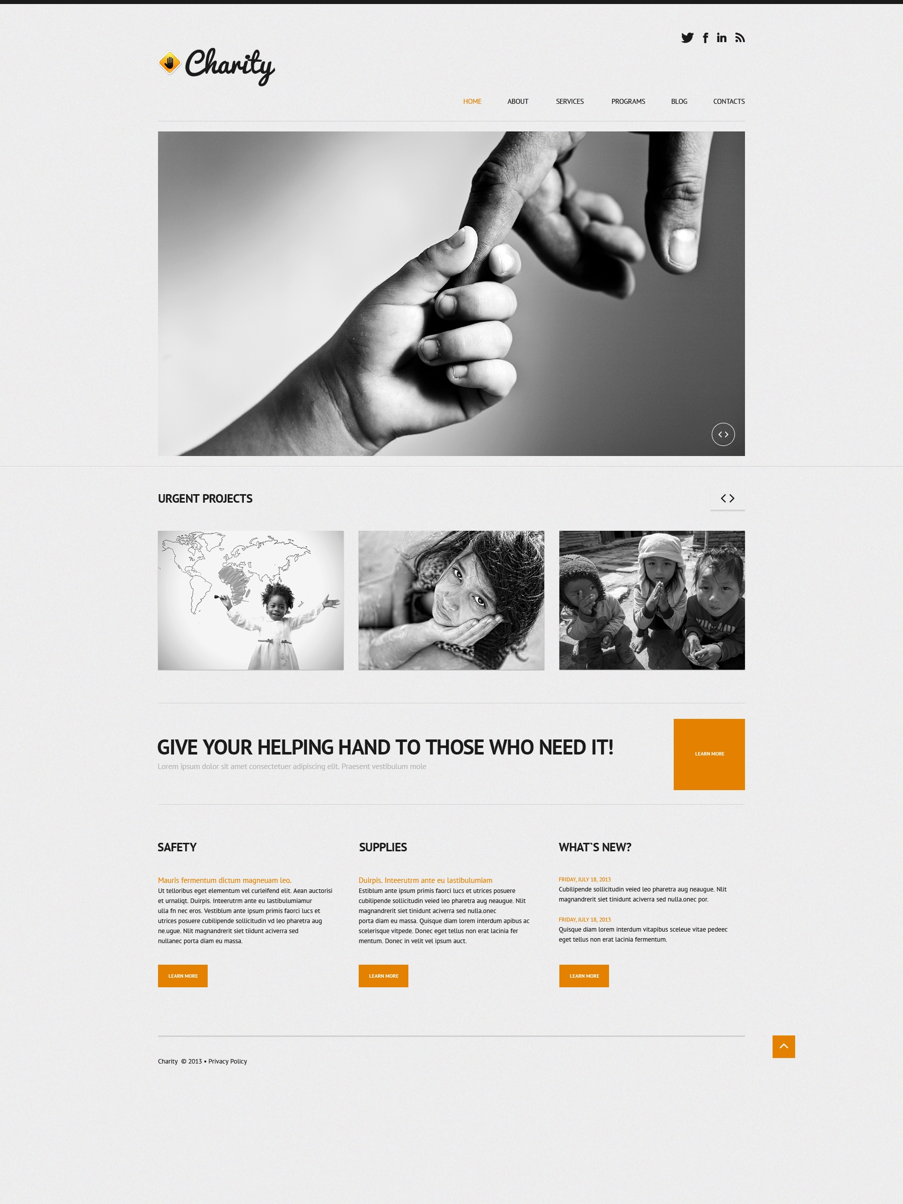 WordPress Themes