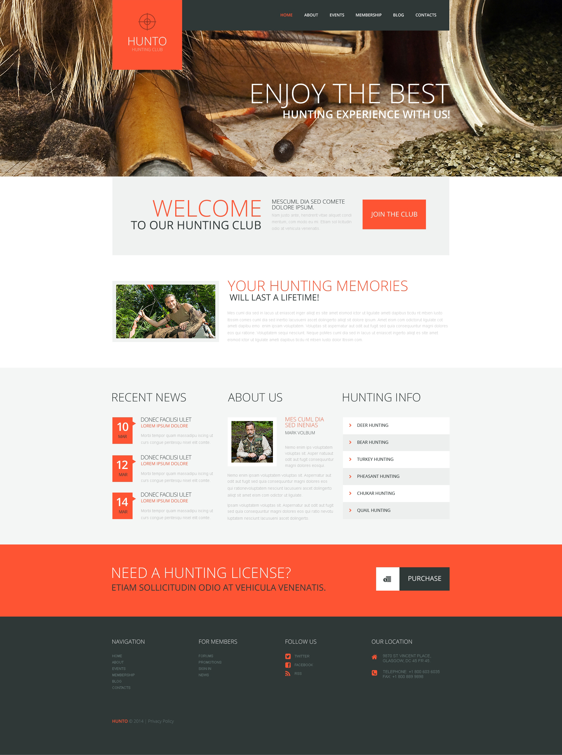 WordPress Themes