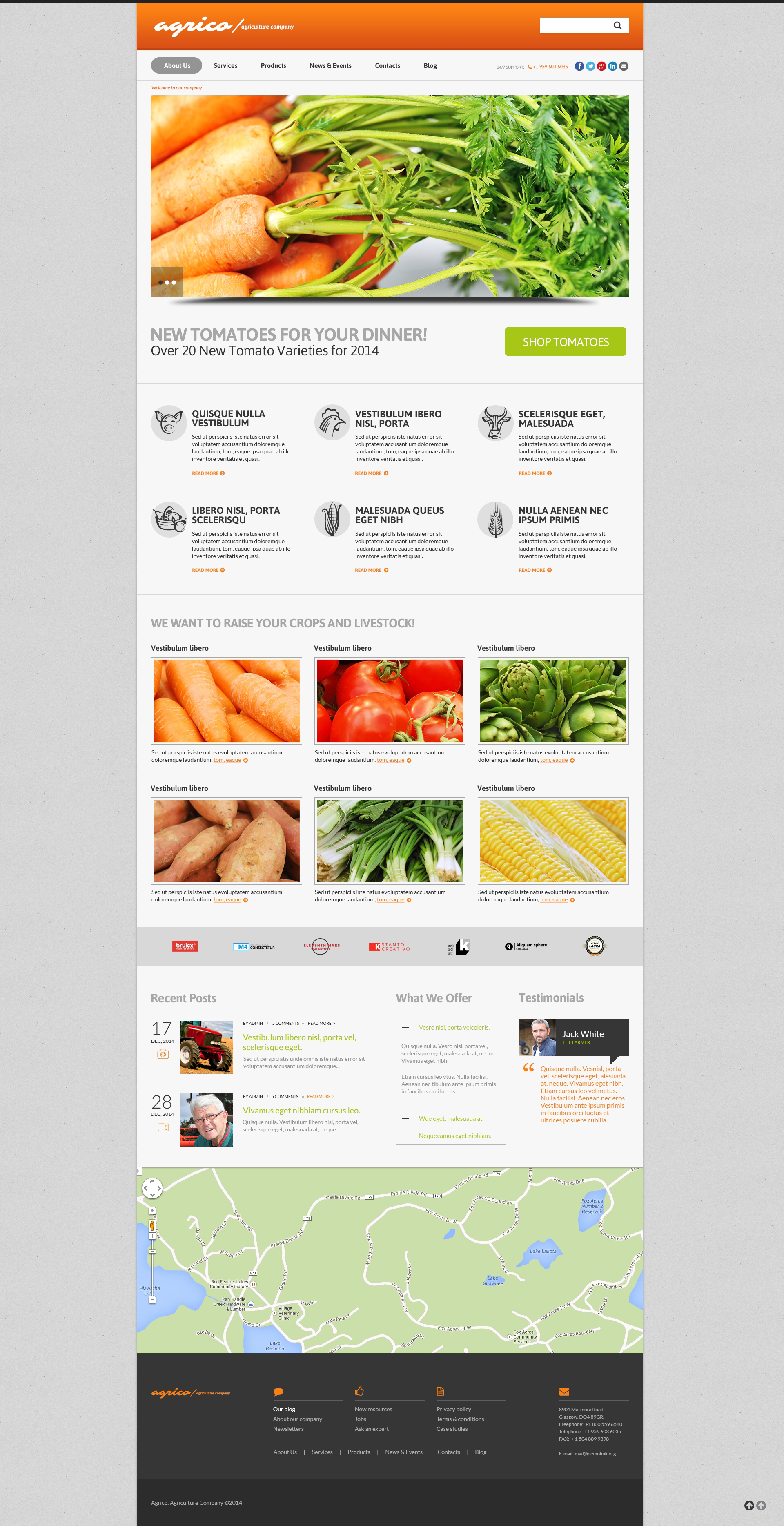 WordPress Themes