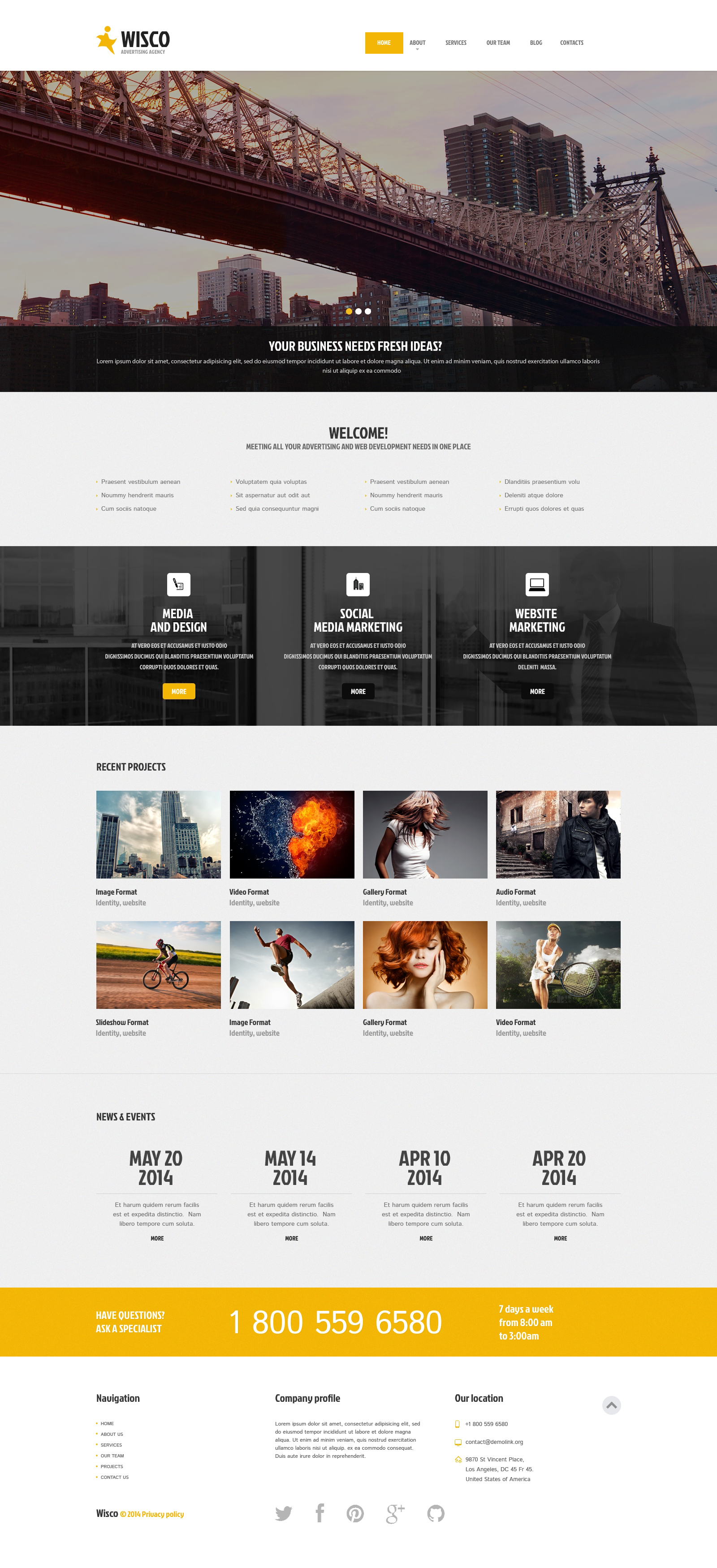 WordPress Themes