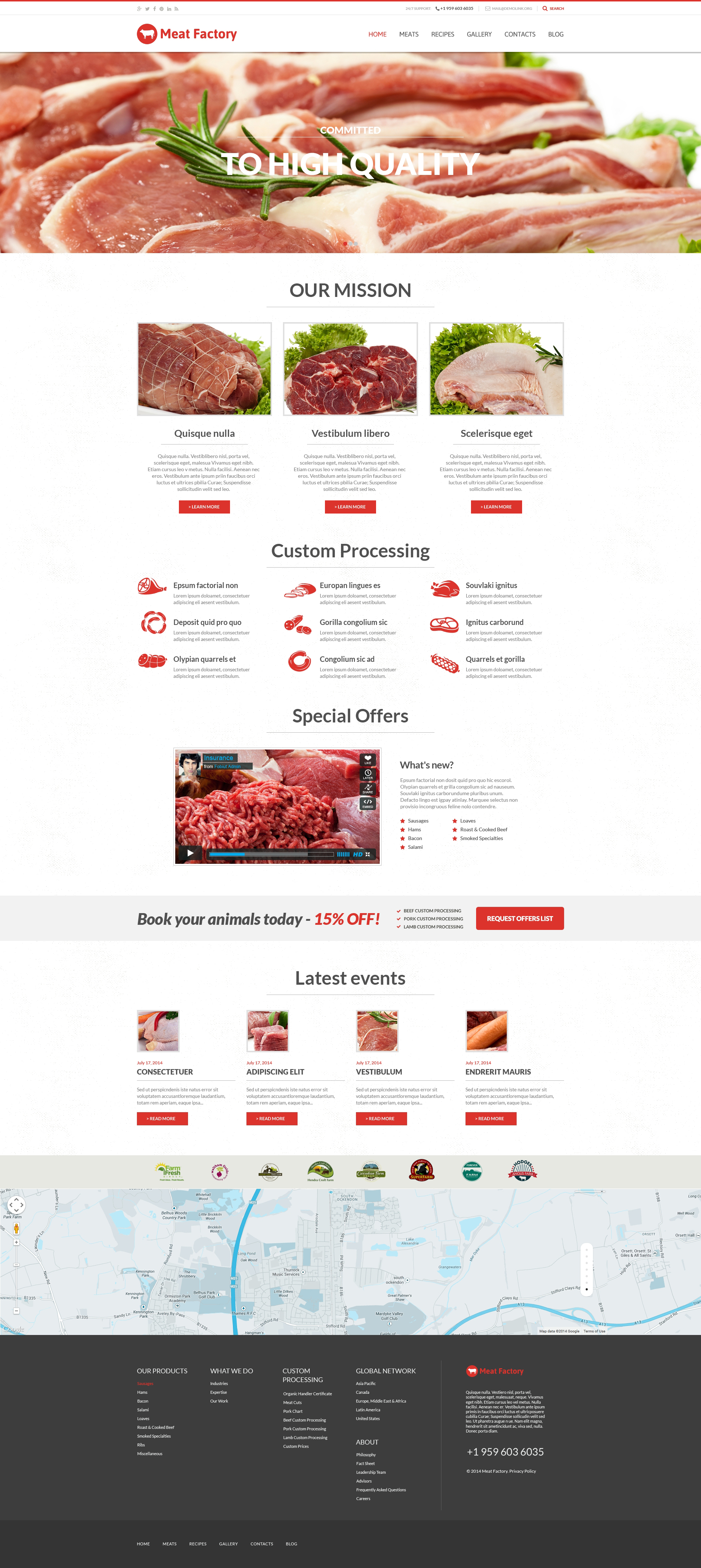 WordPress Themes