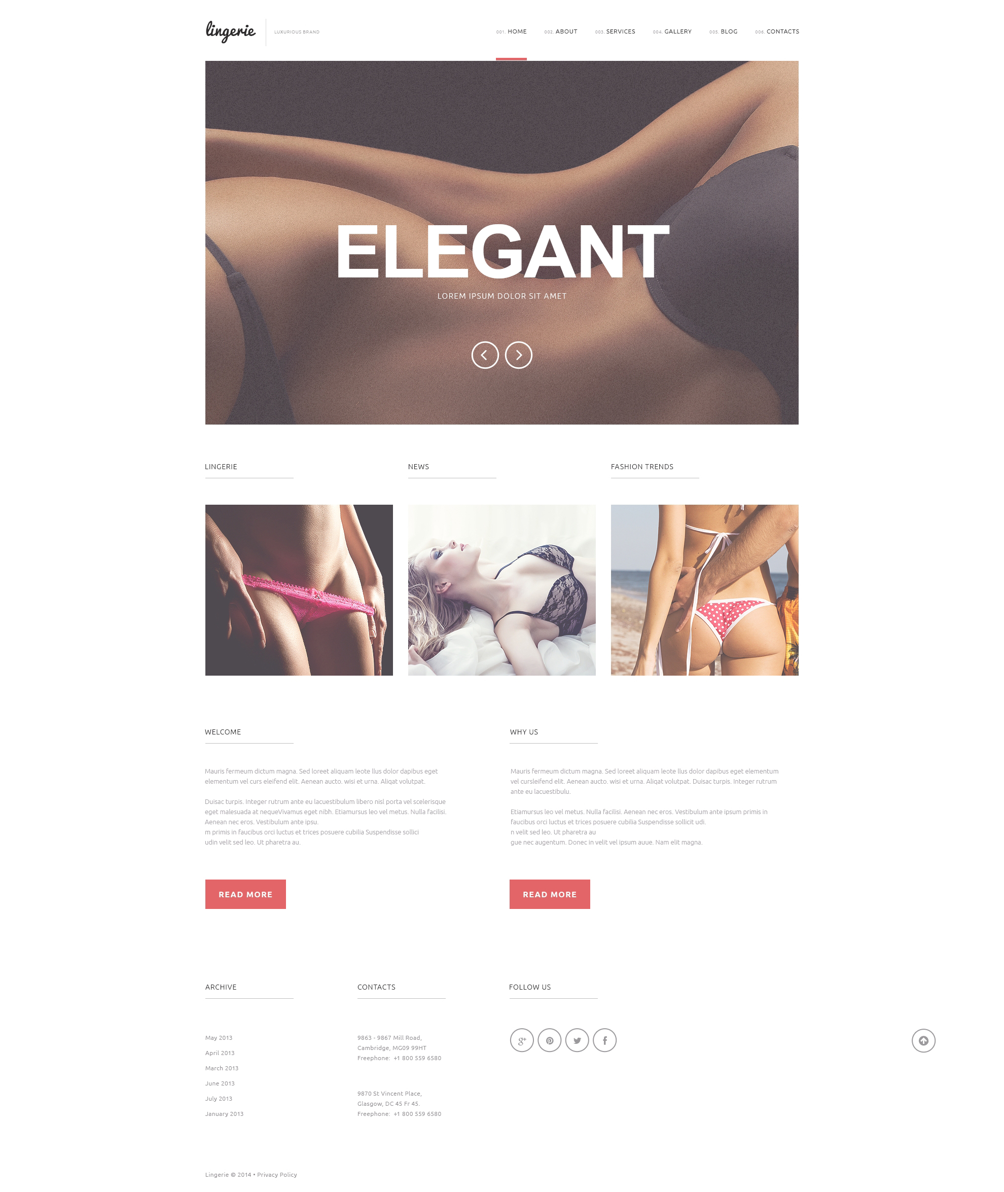 WordPress Themes