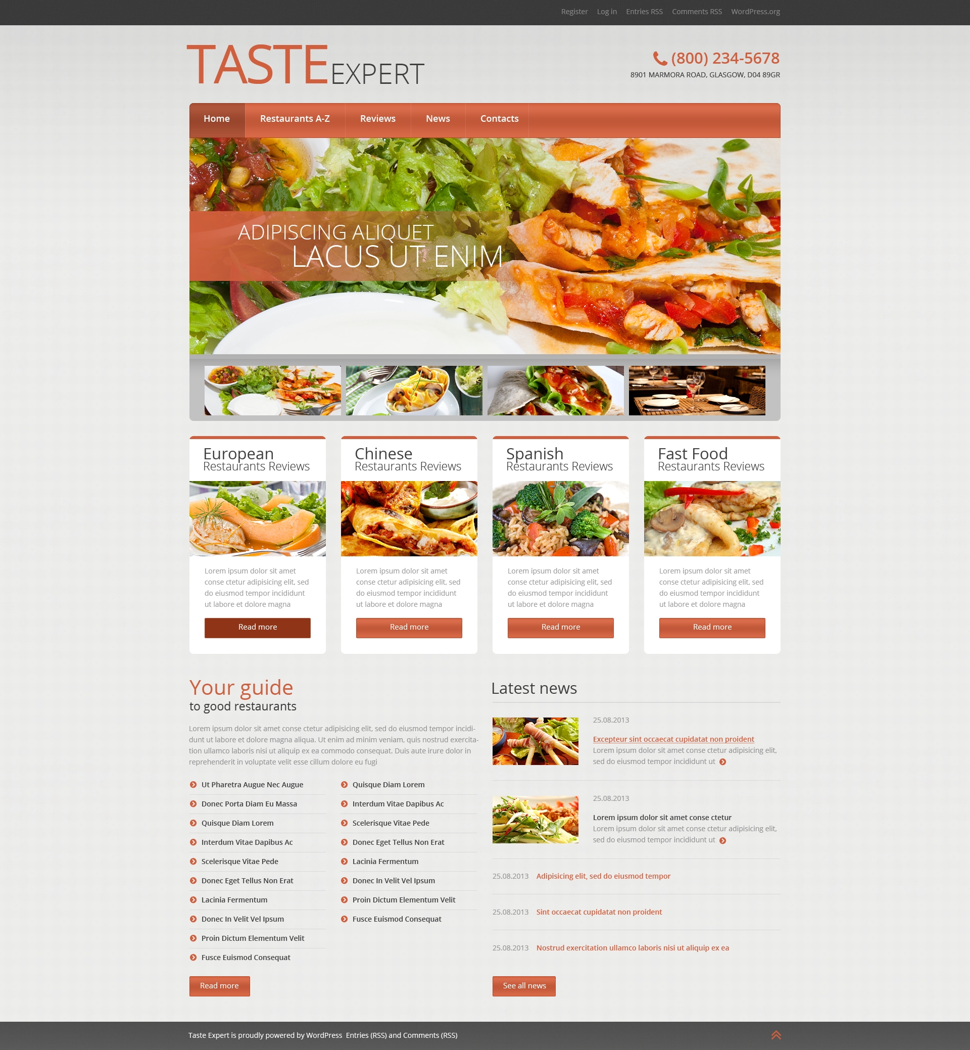 WordPress Themes