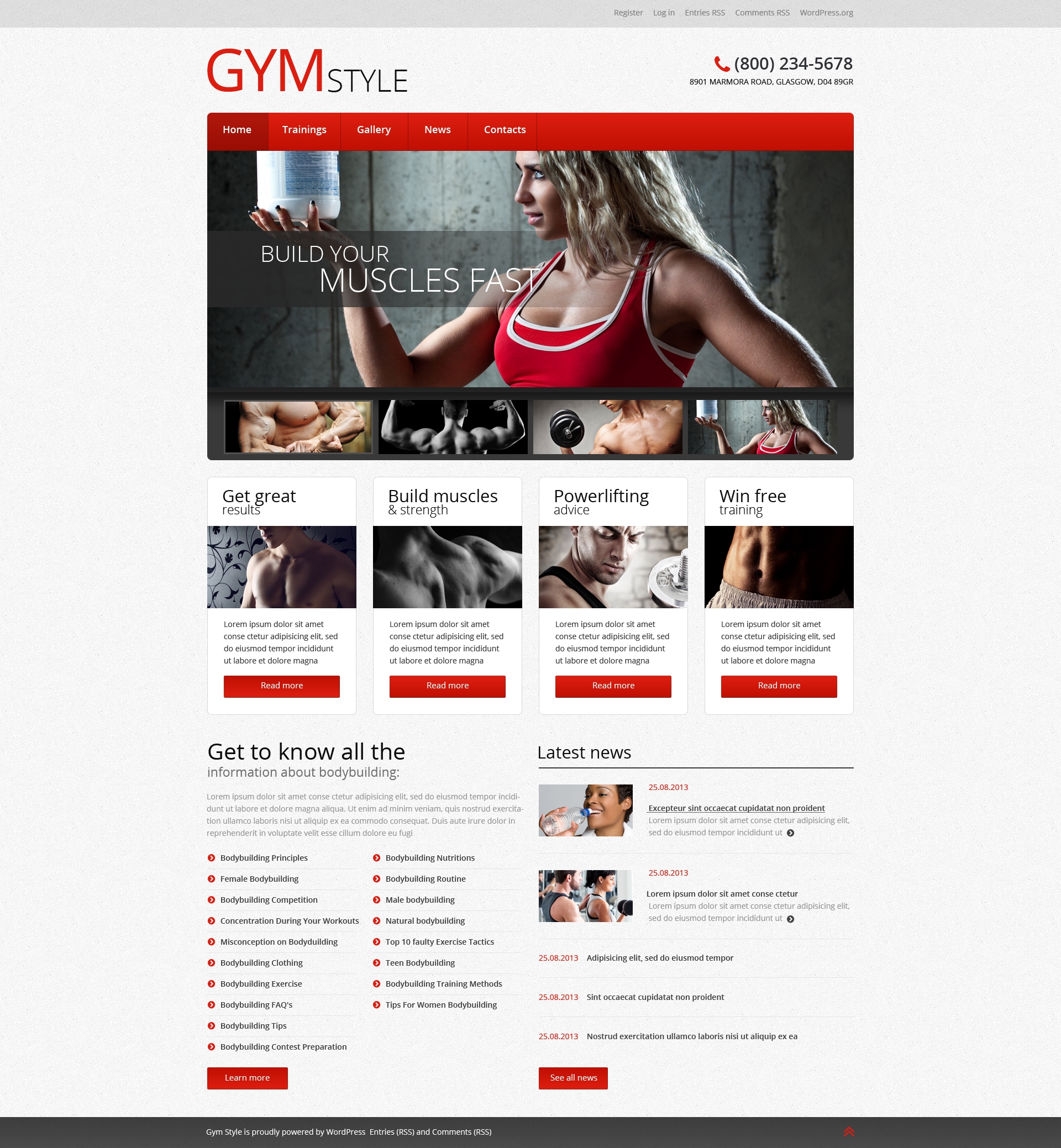 WordPress Themes