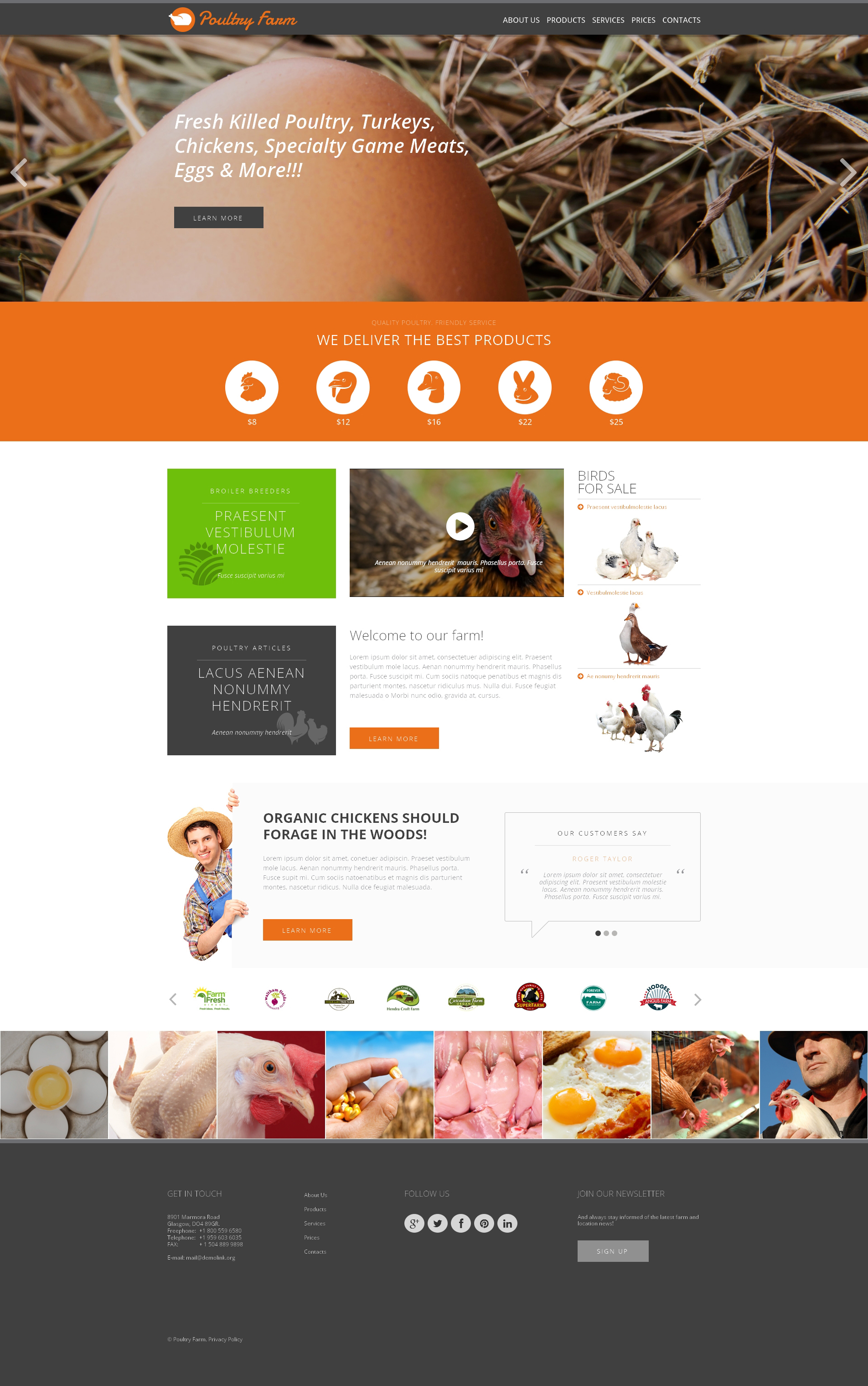 Website Templates