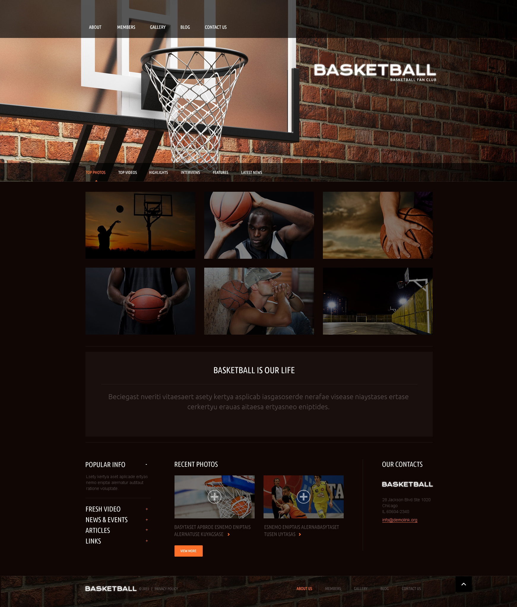 WordPress Themes