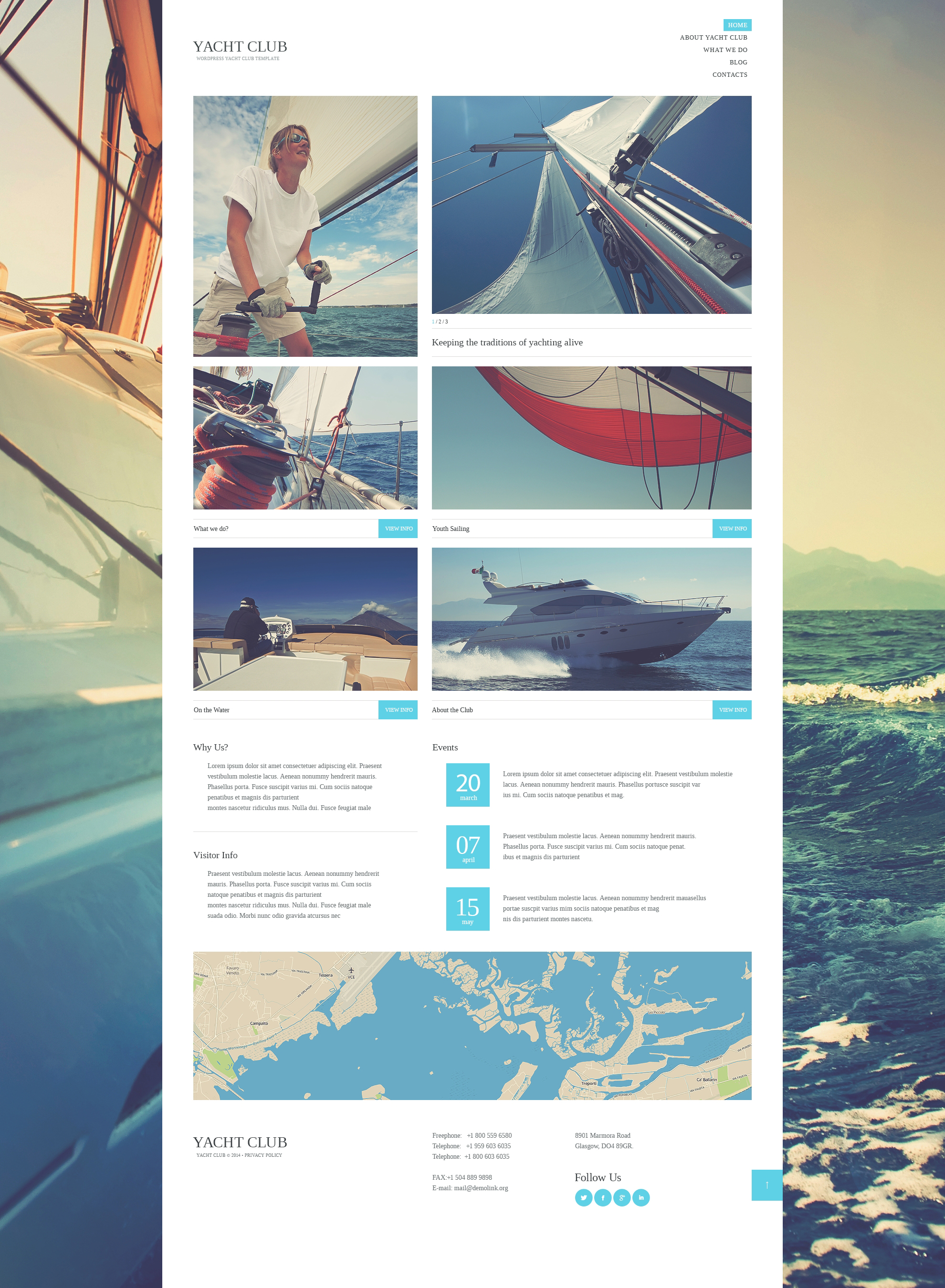 WordPress Themes