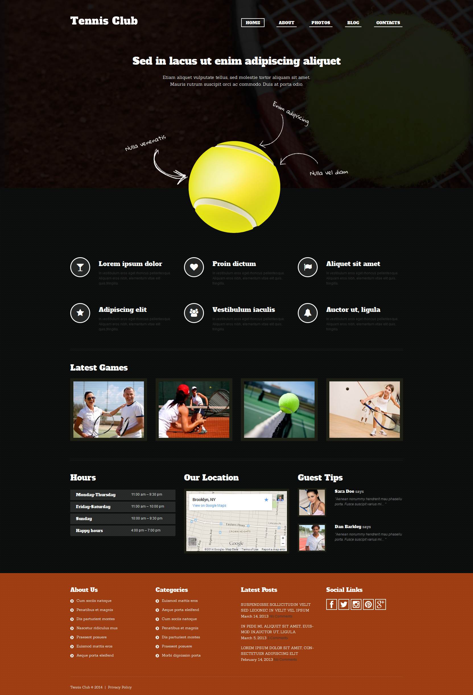 WordPress Themes