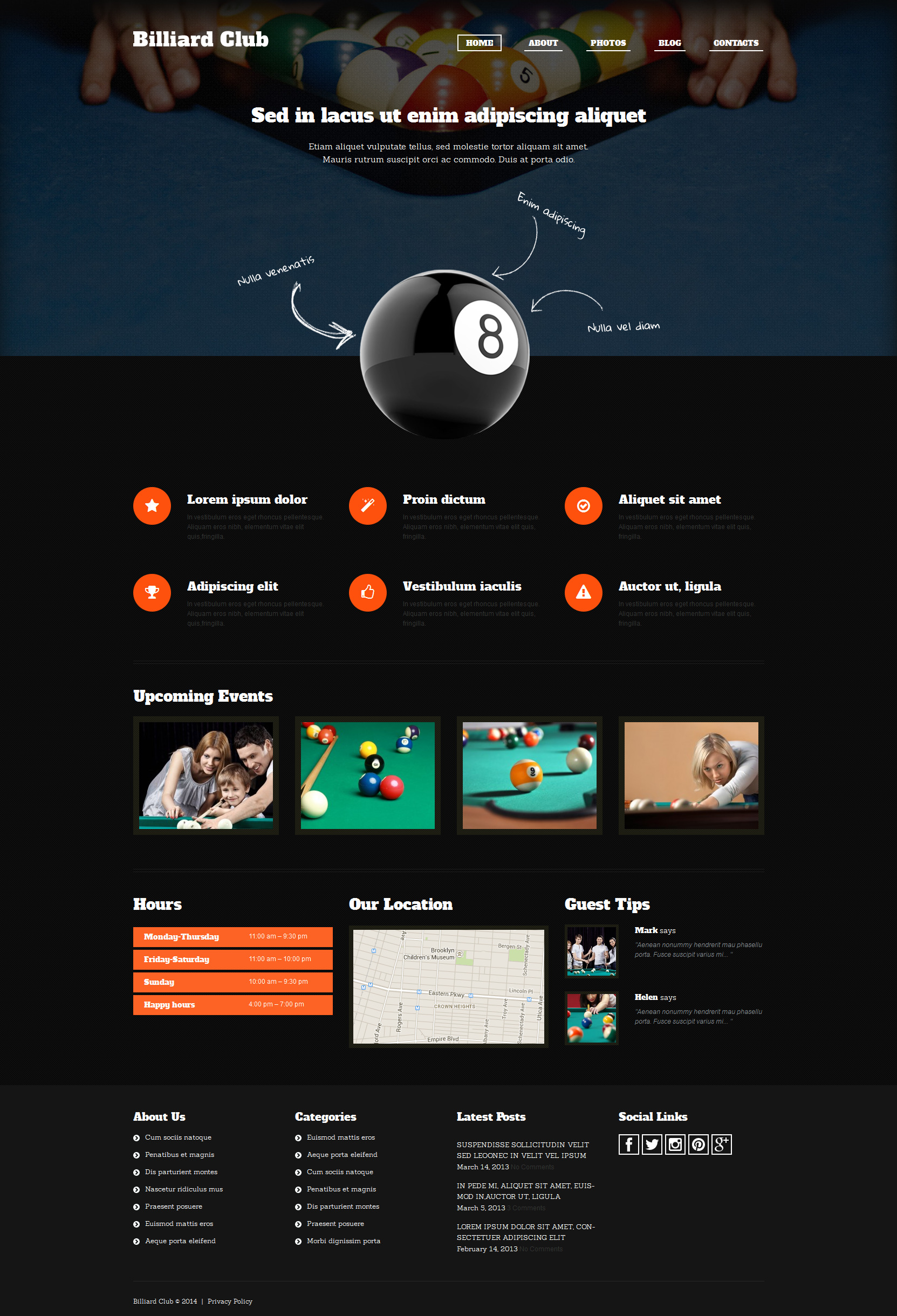 WordPress Themes