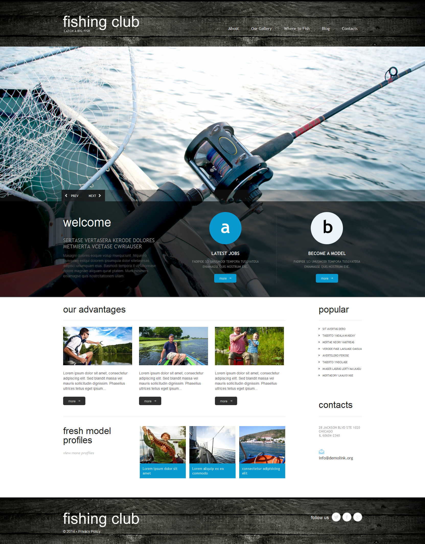 WordPress Themes