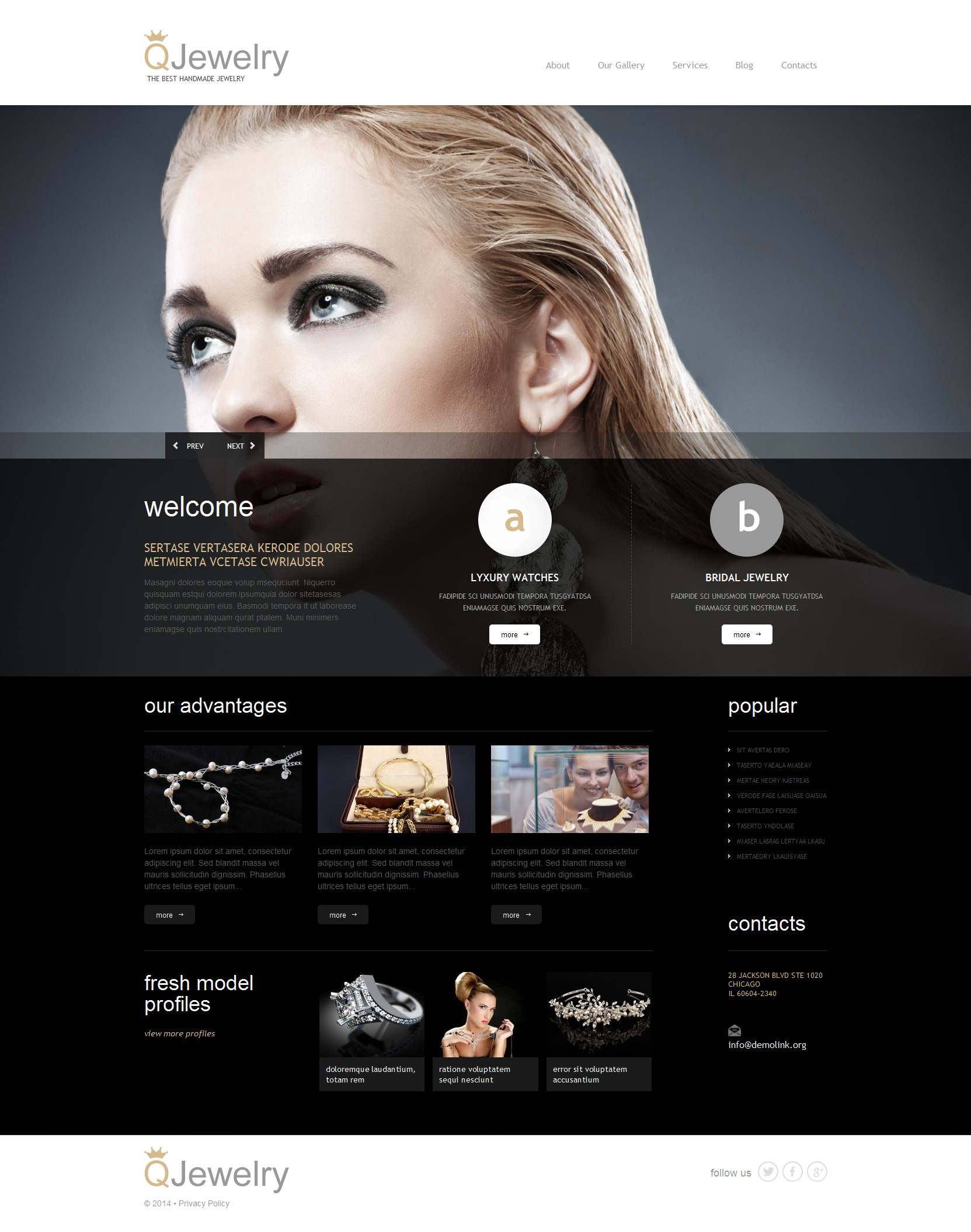 WordPress Themes