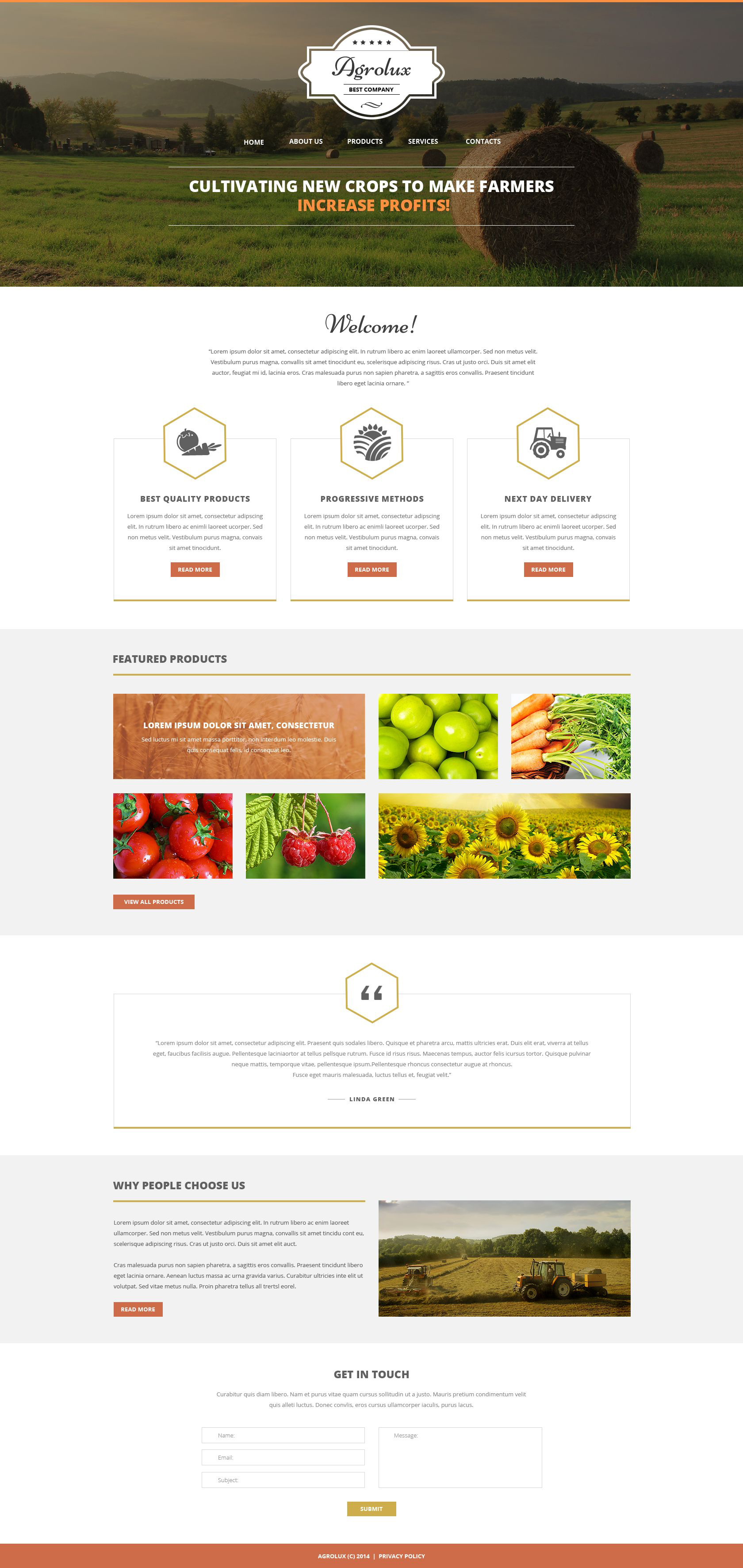 Website Templates