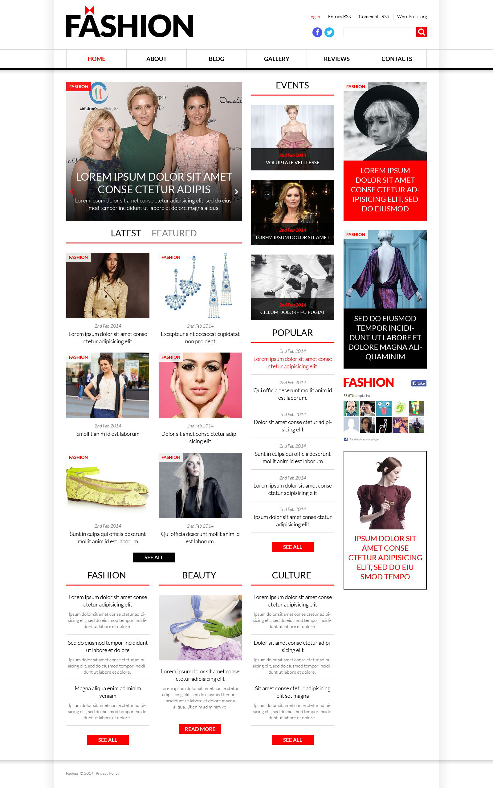 WordPress Themes