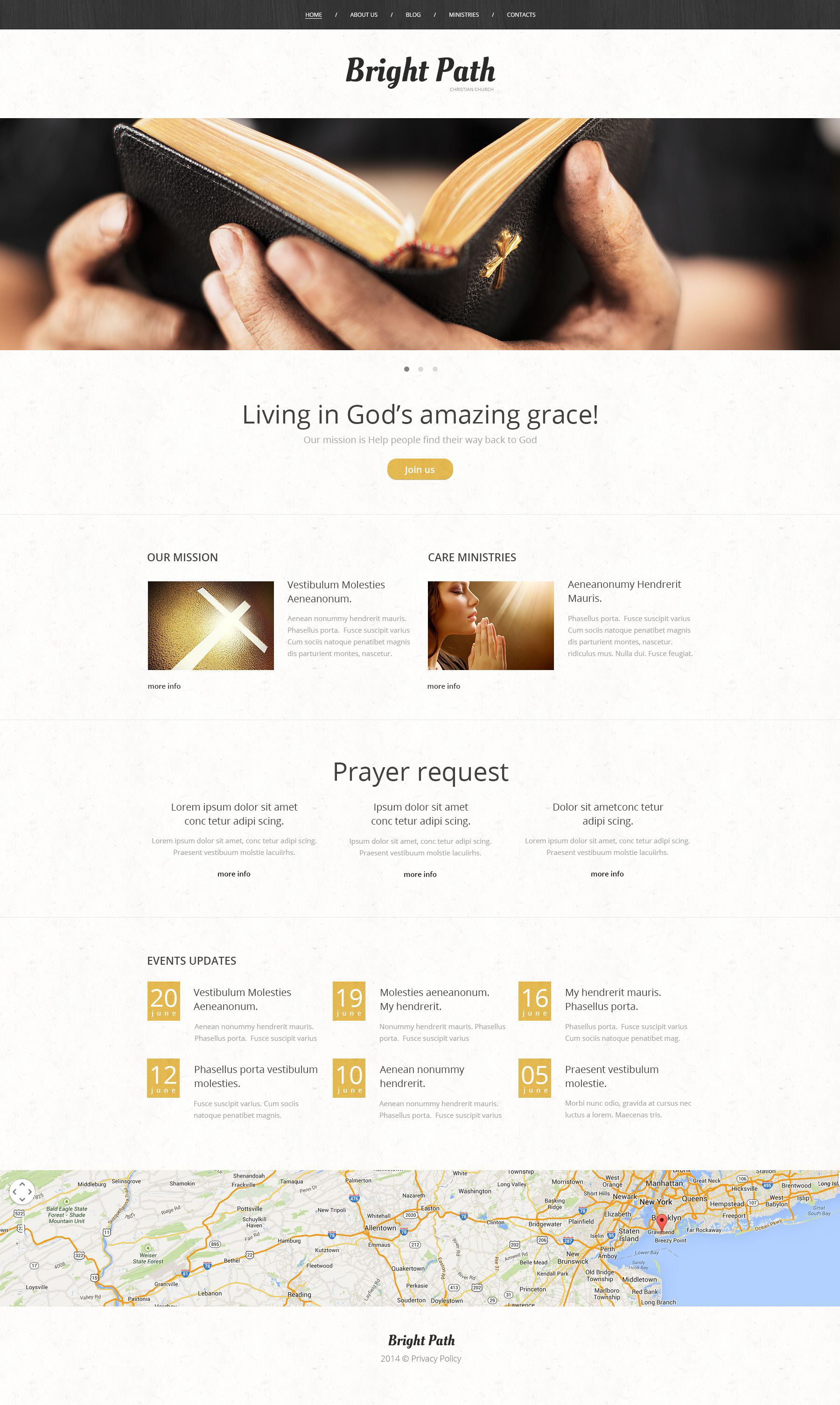 WordPress Themes