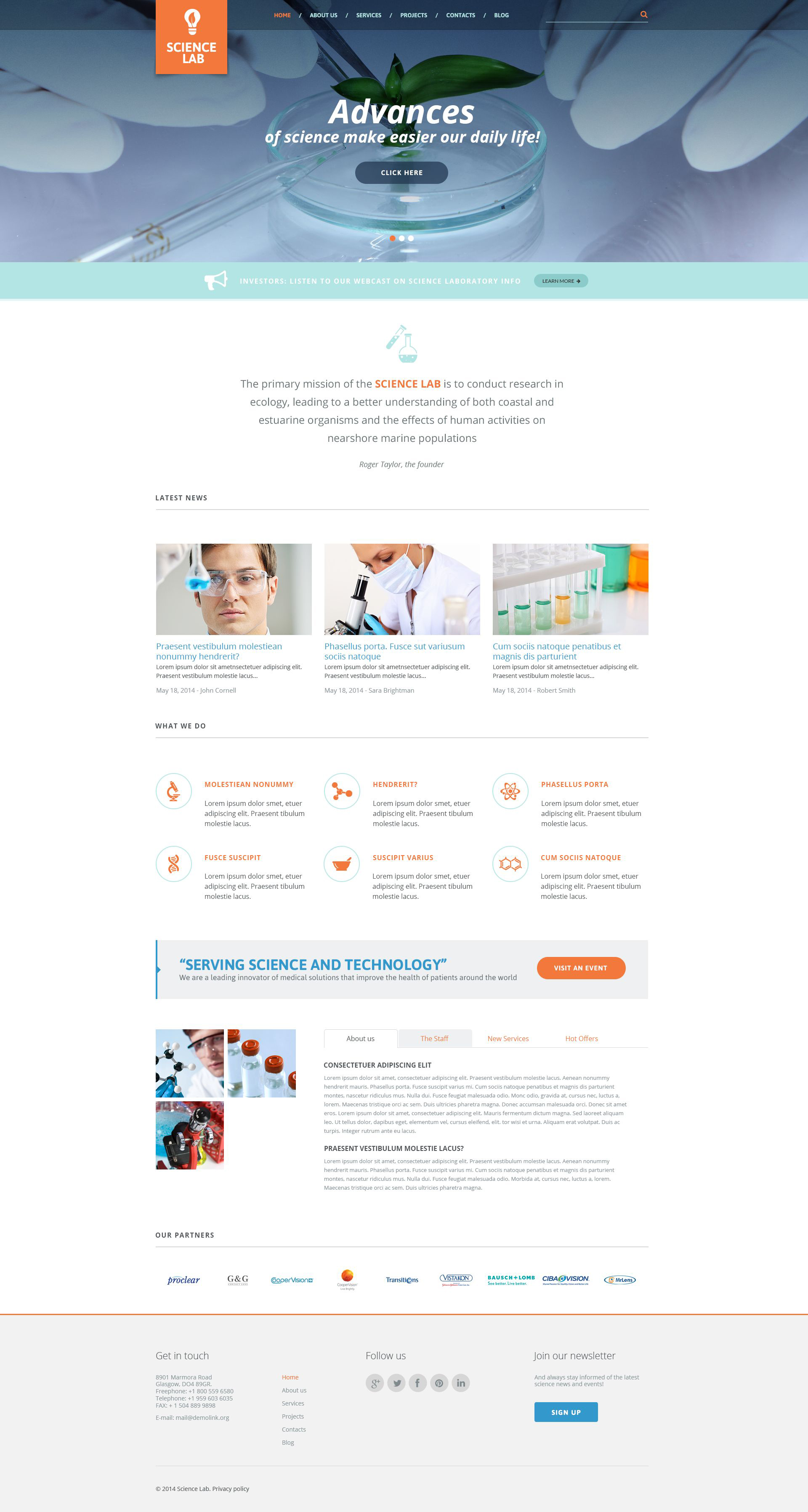 WordPress Themes