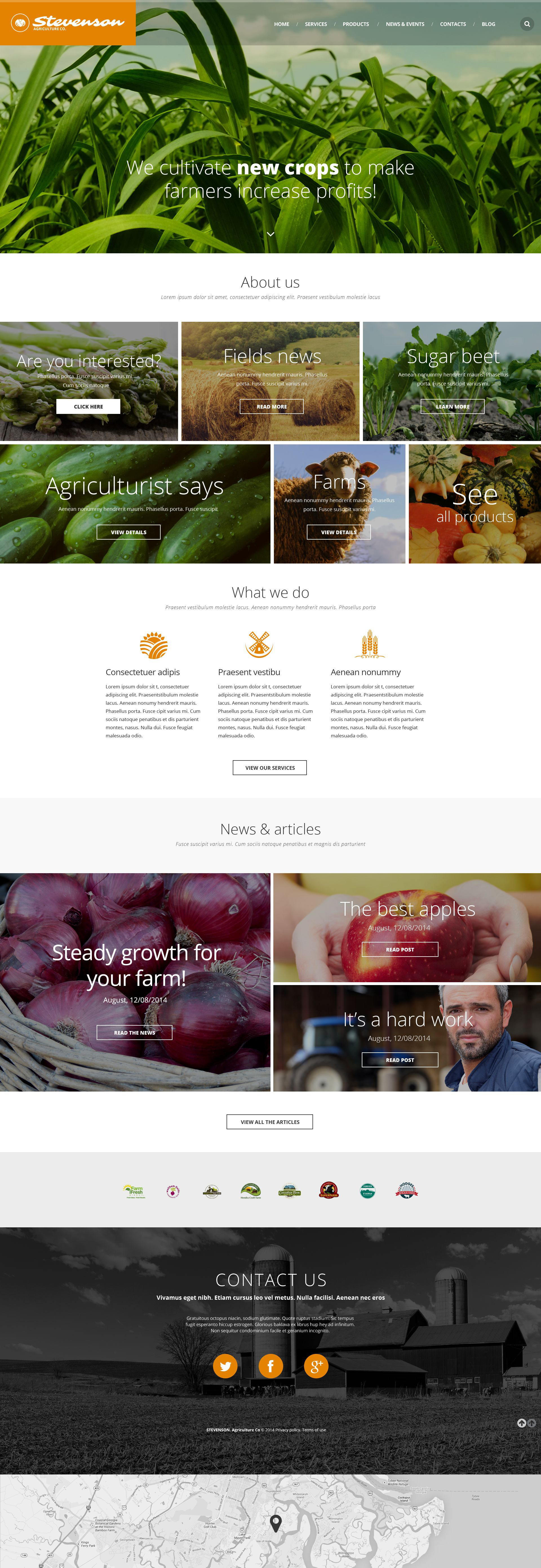 Website Templates