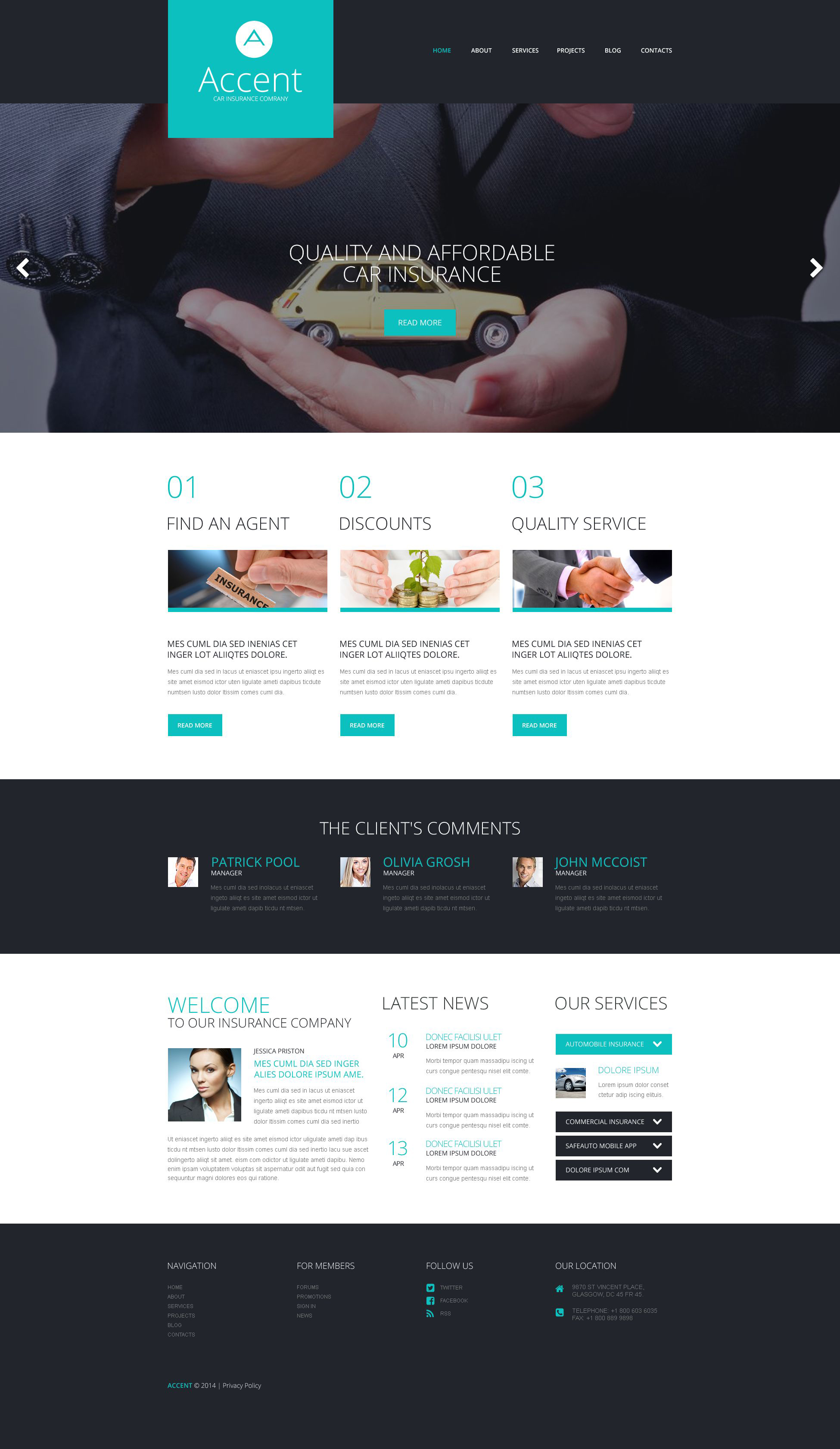 WordPress Themes