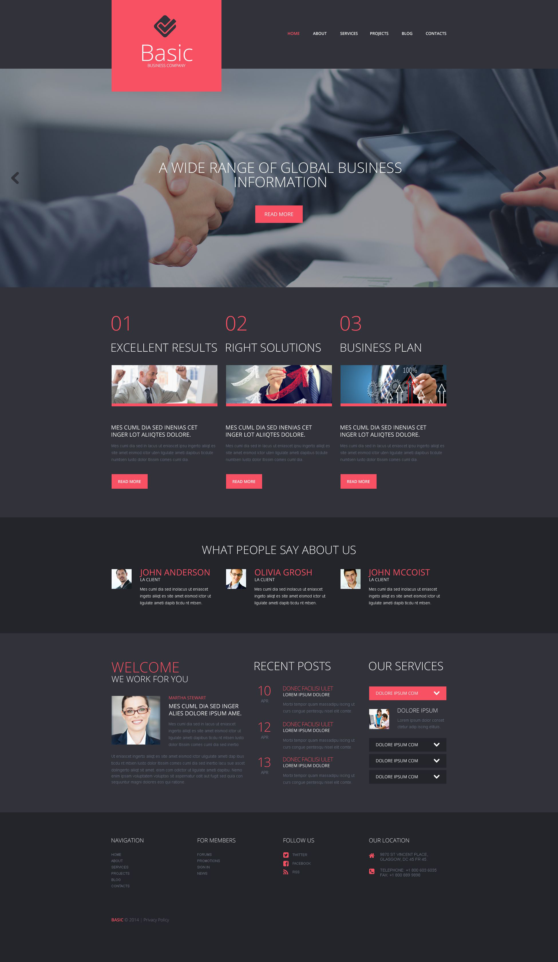 WordPress Themes