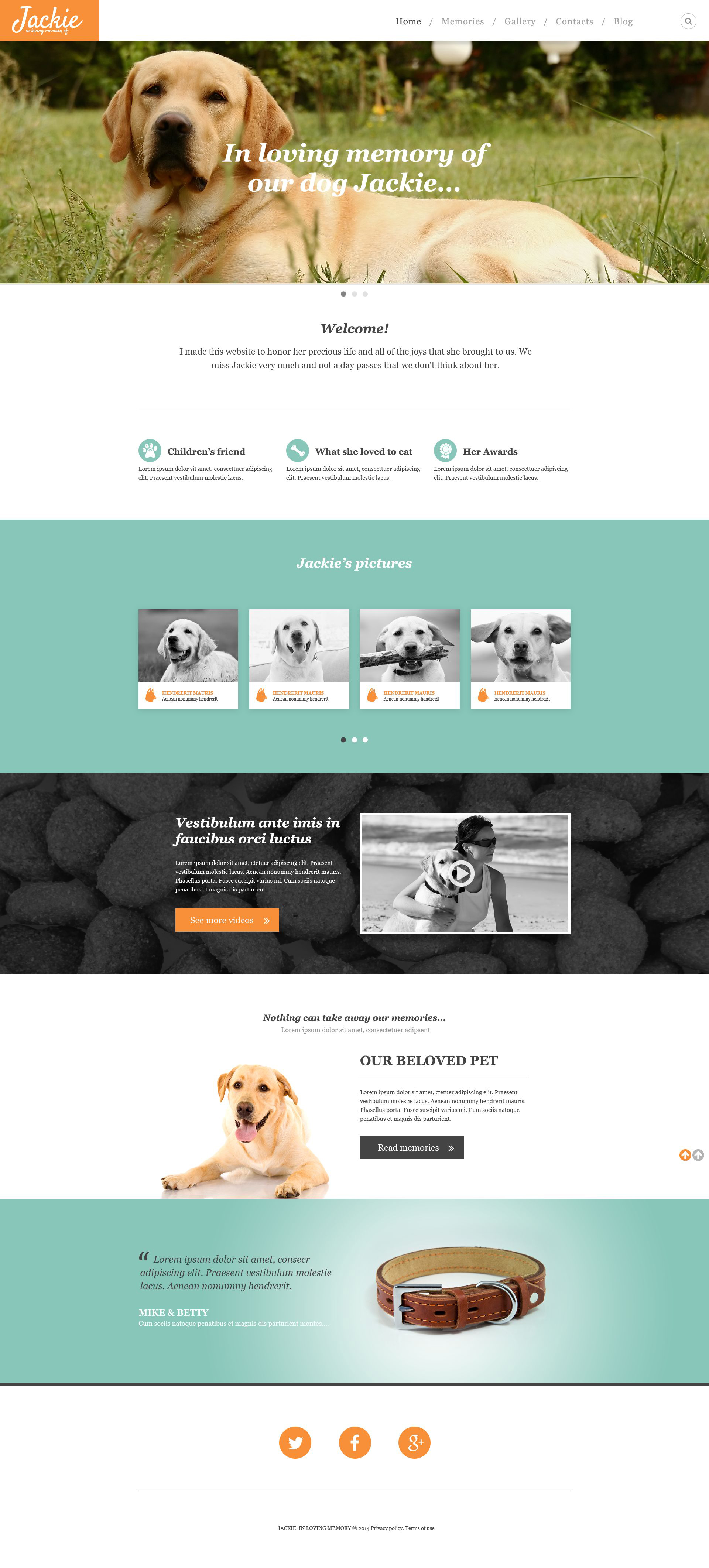 Website Templates