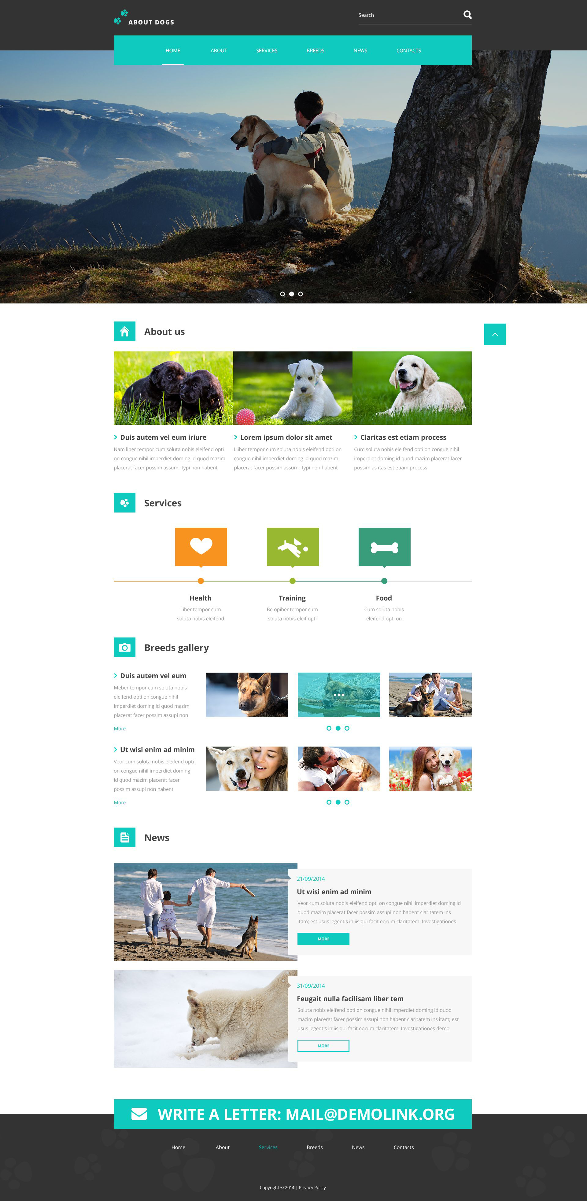 Website Templates