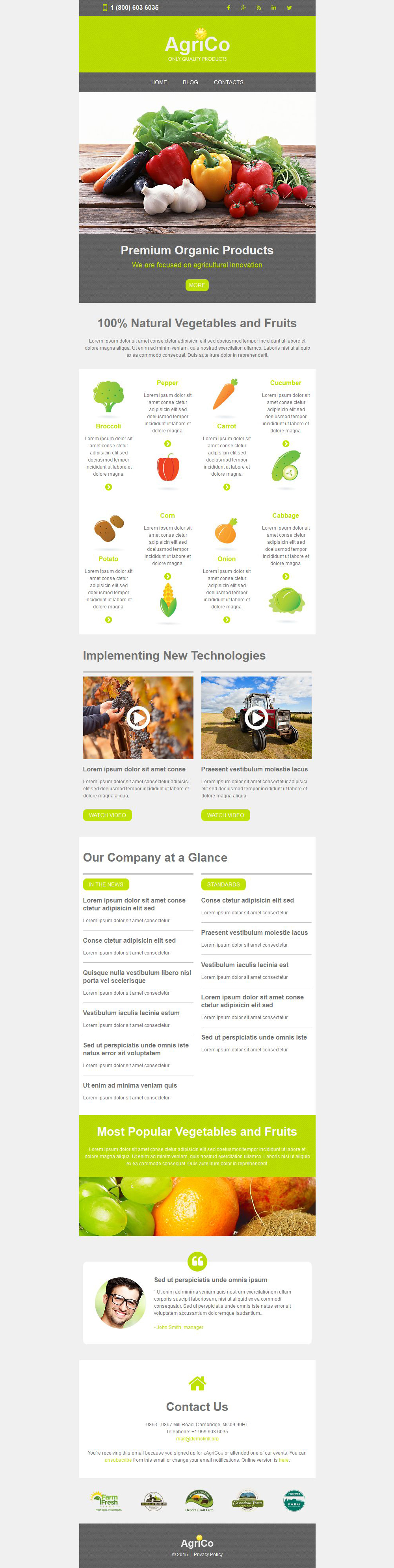 Newsletter Templates