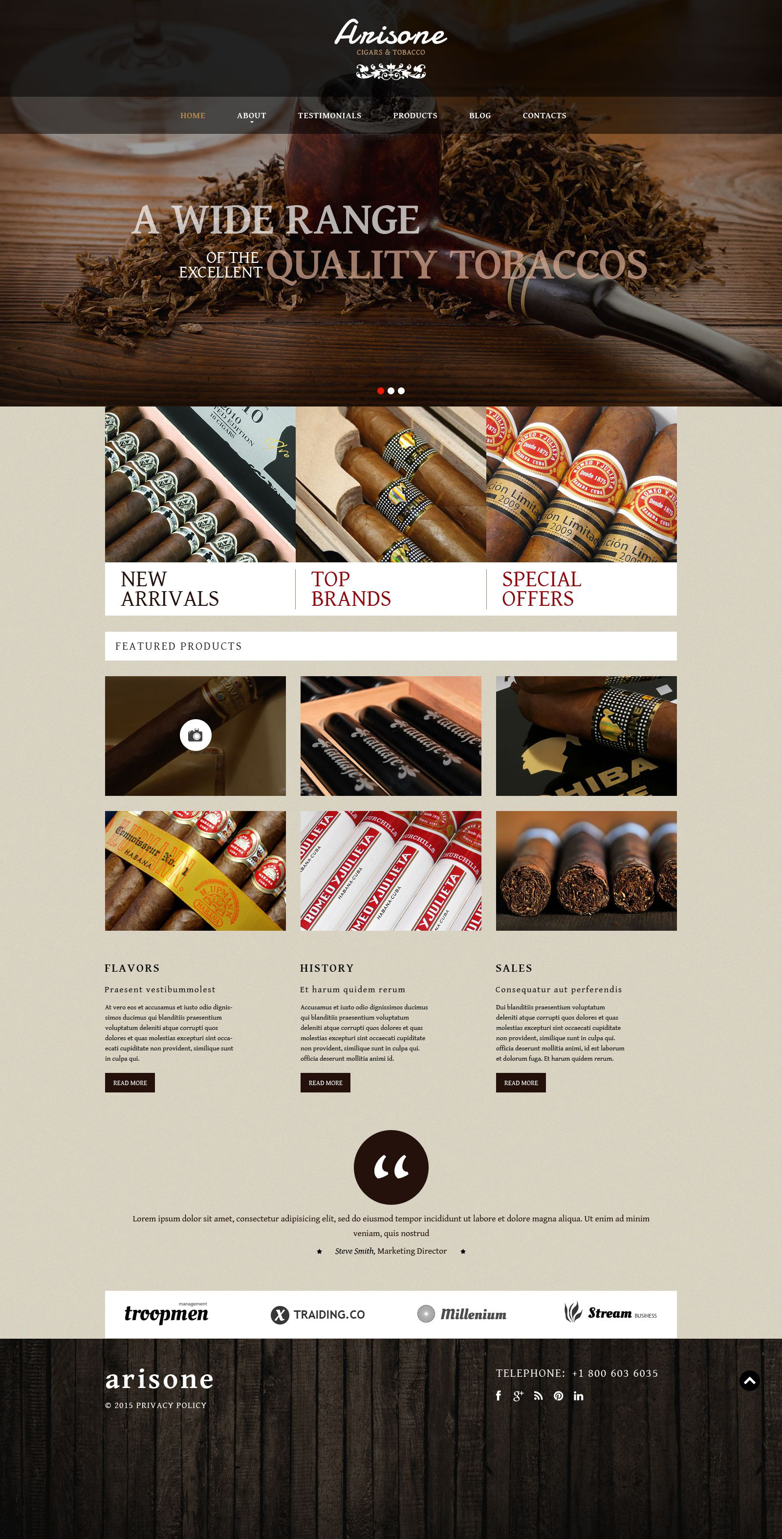 WordPress Themes