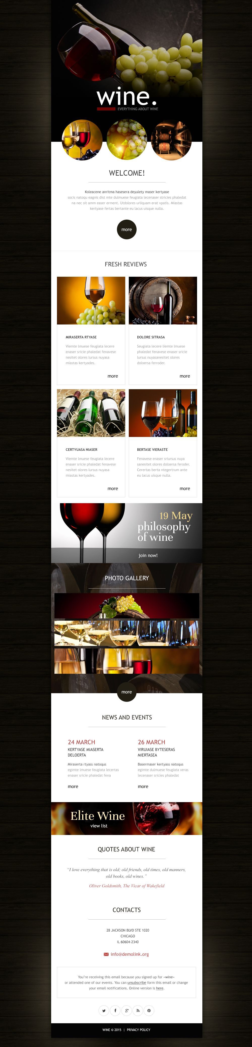 Wine Responsive Newsletter Template