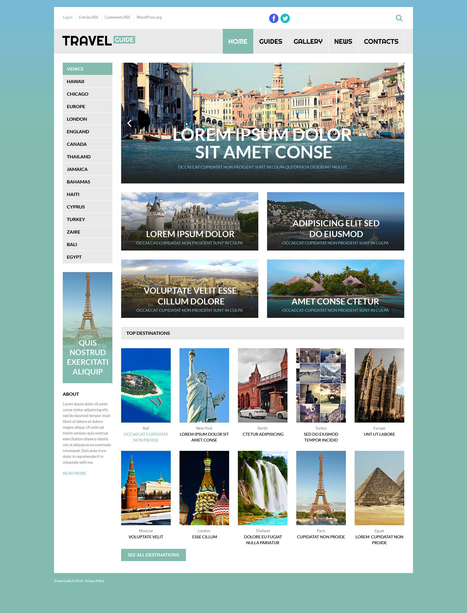 WordPress Themes