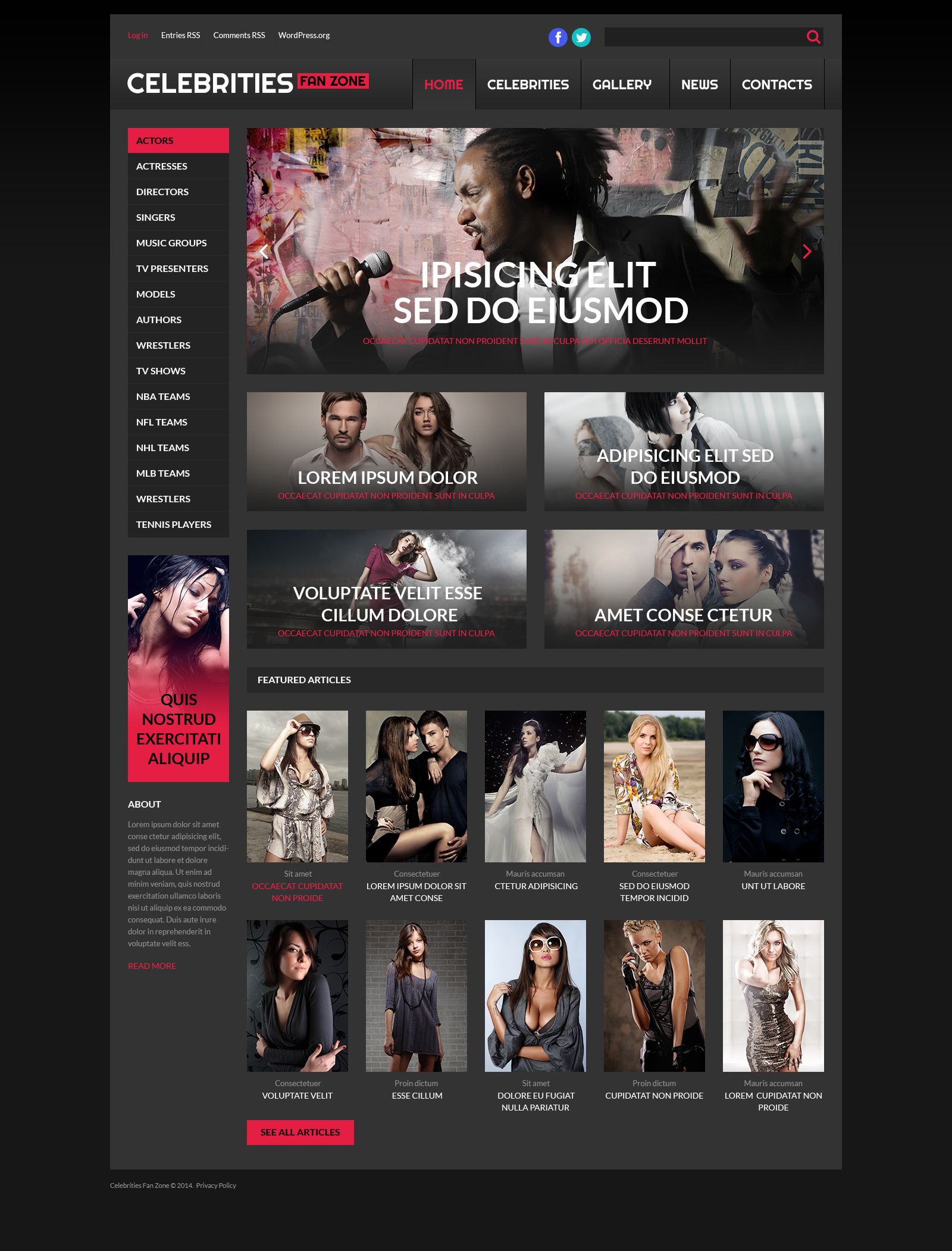 WordPress Themes