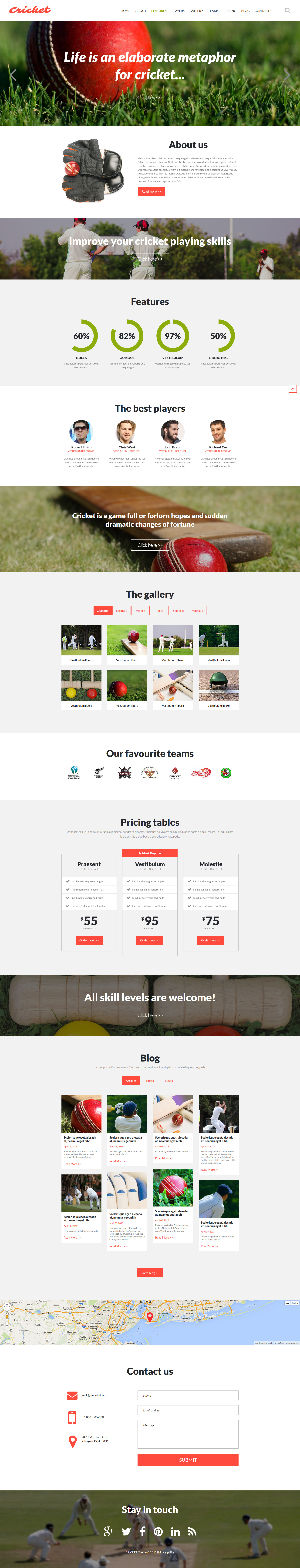 Cricket Club Joomla Template