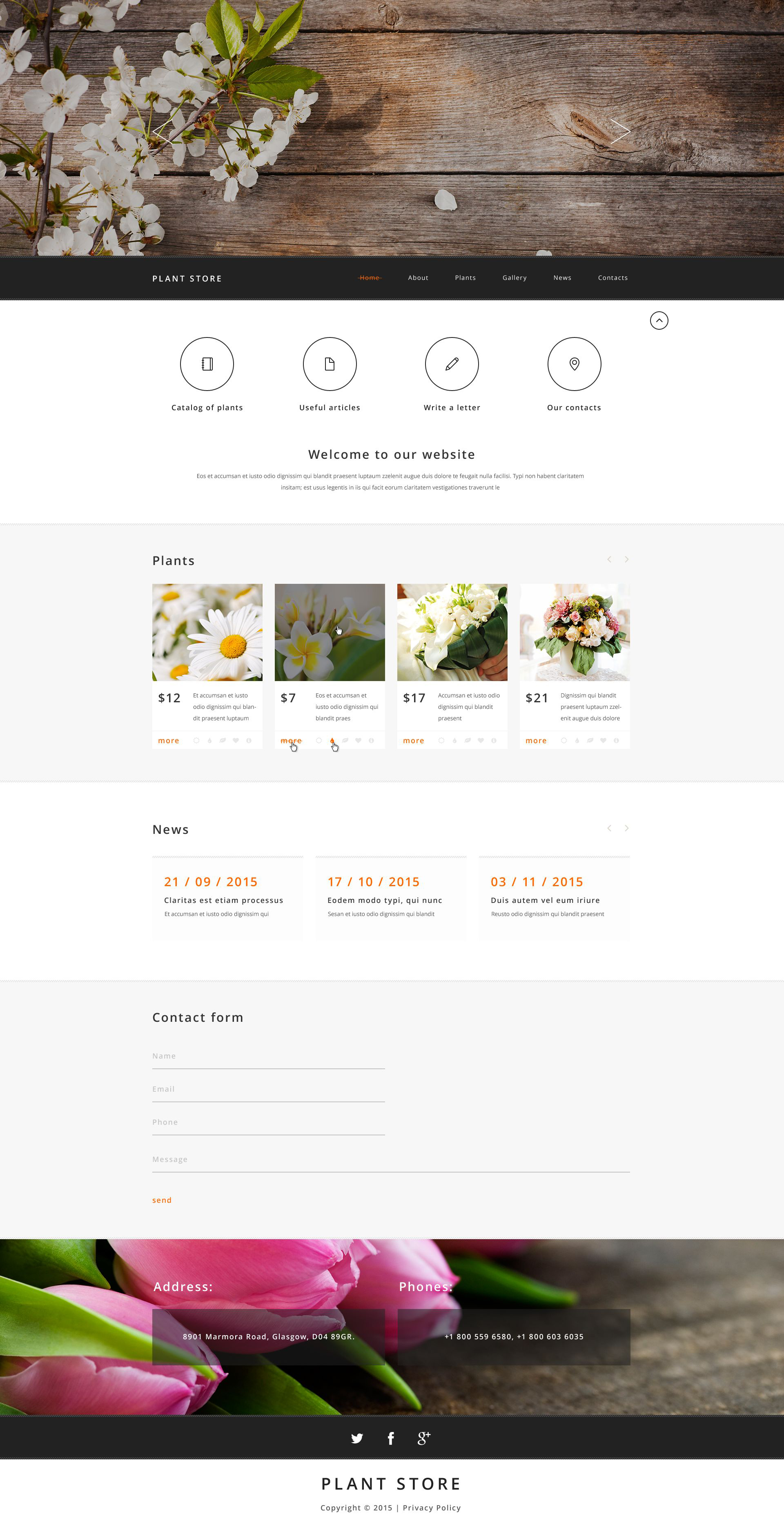 Website Templates