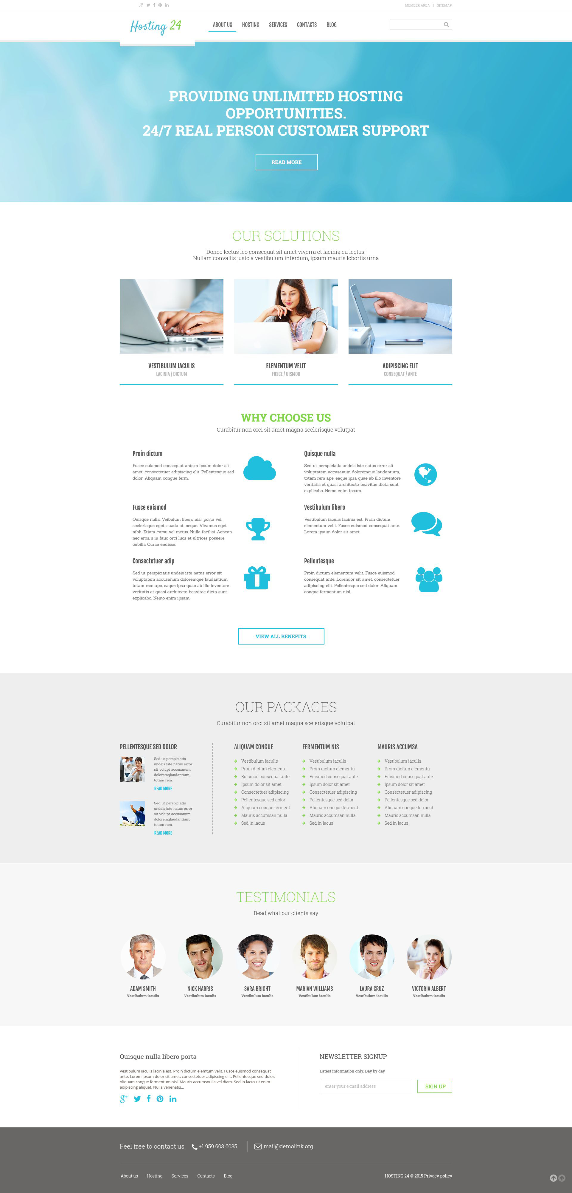 Hosting Responsive WordPress Theme